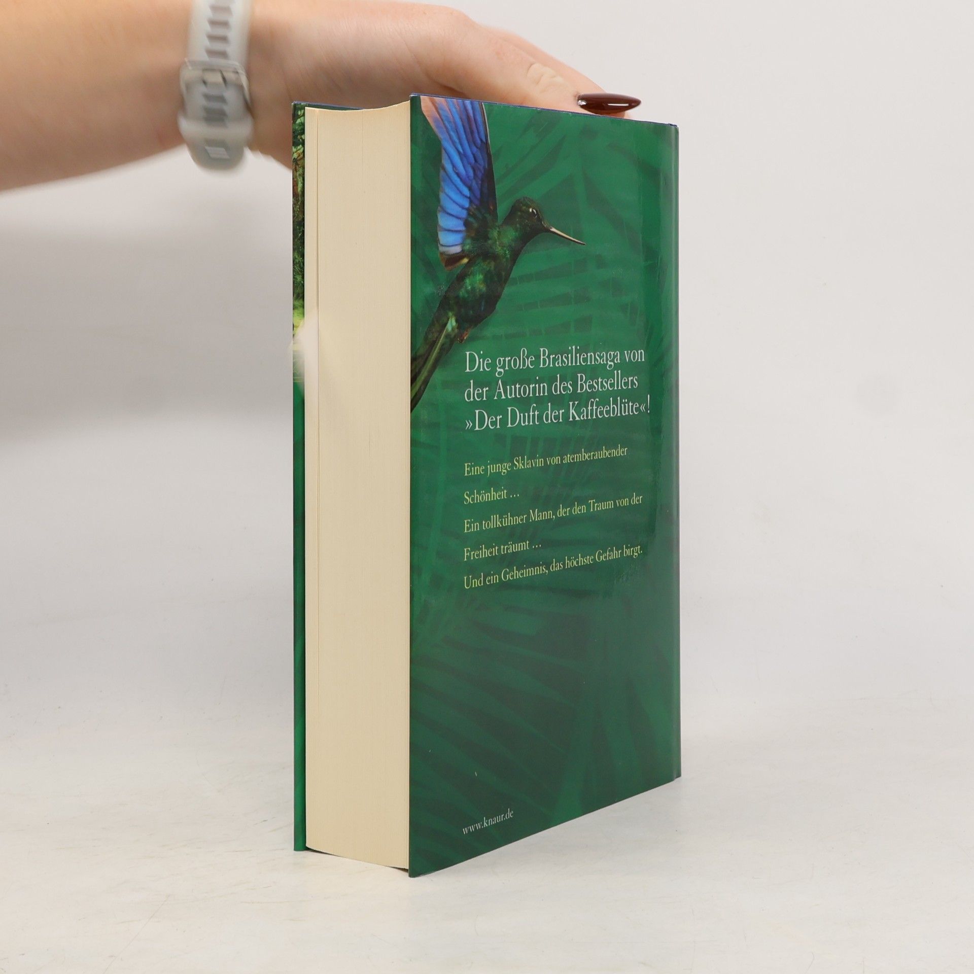 Ana Veloso Das Lied des Kolibris