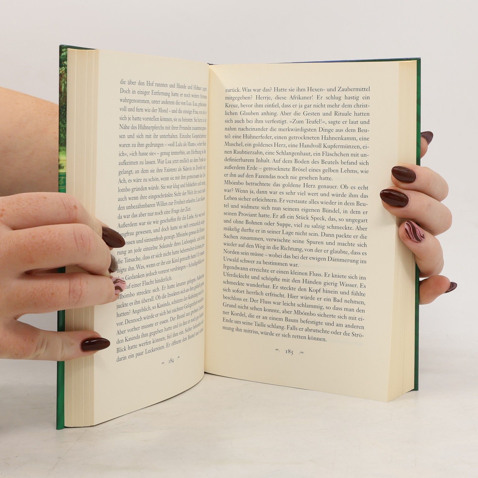 Ana Veloso Das Lied des Kolibris