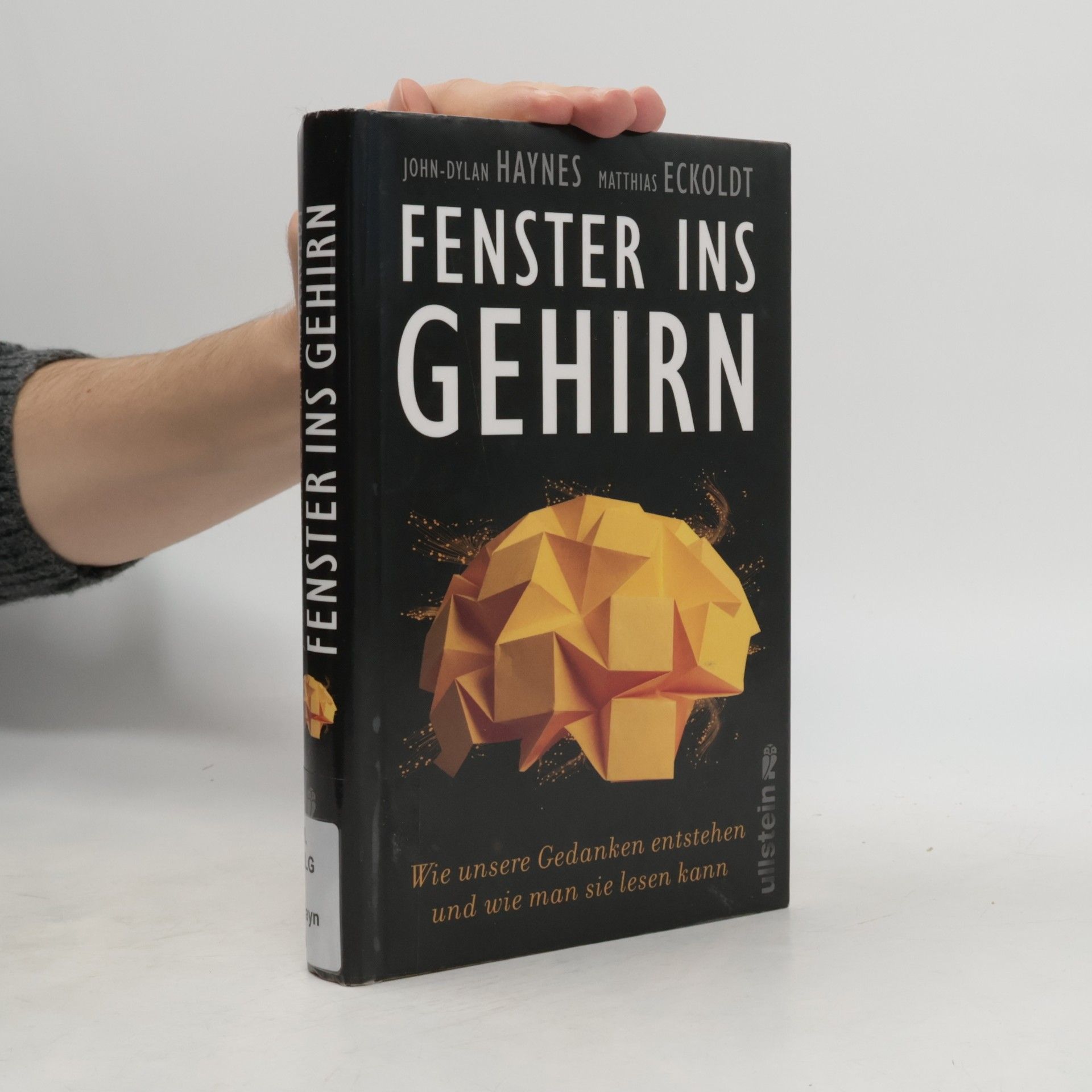 Fenster ins Gehirn