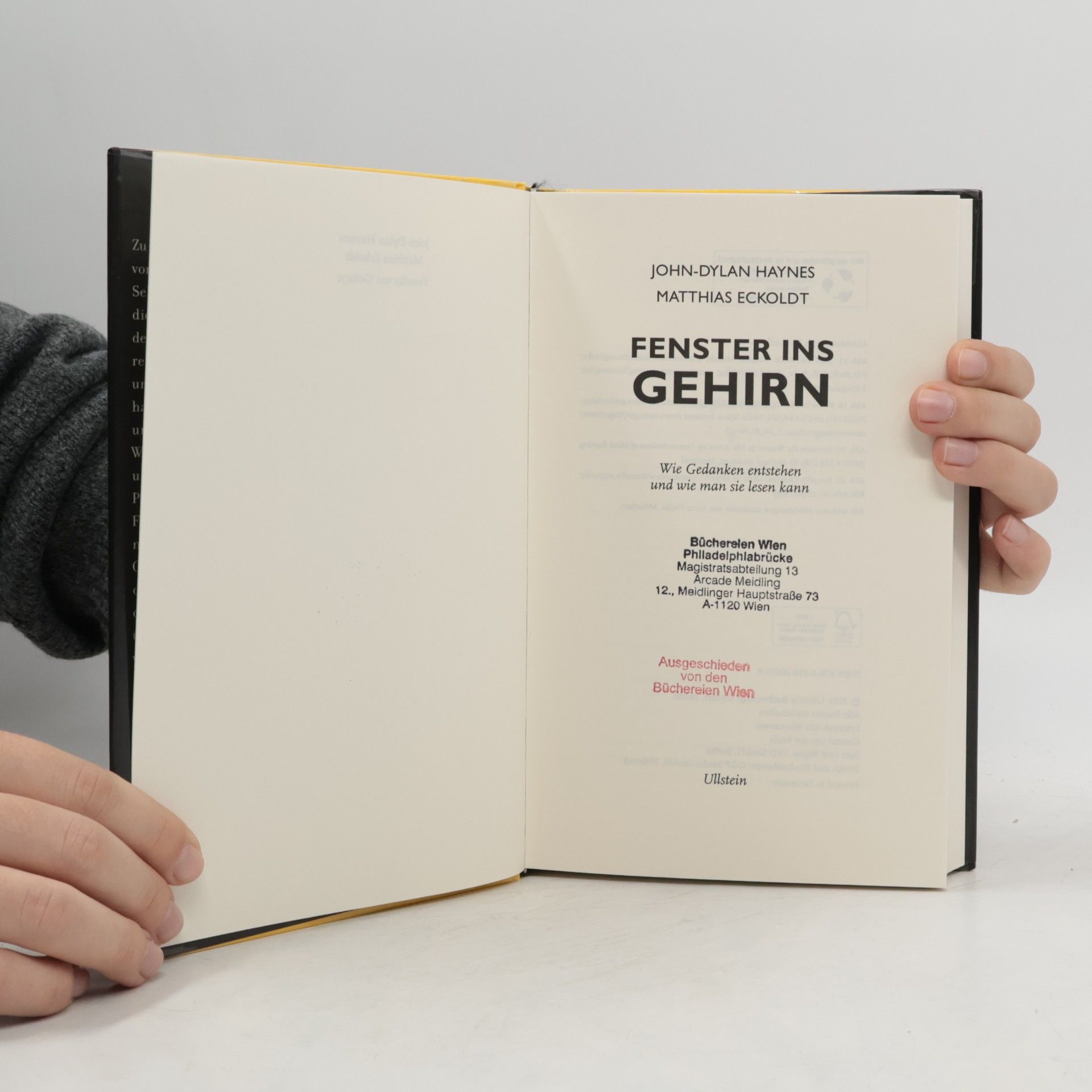 John M. Haynes Fenster ins Gehirn