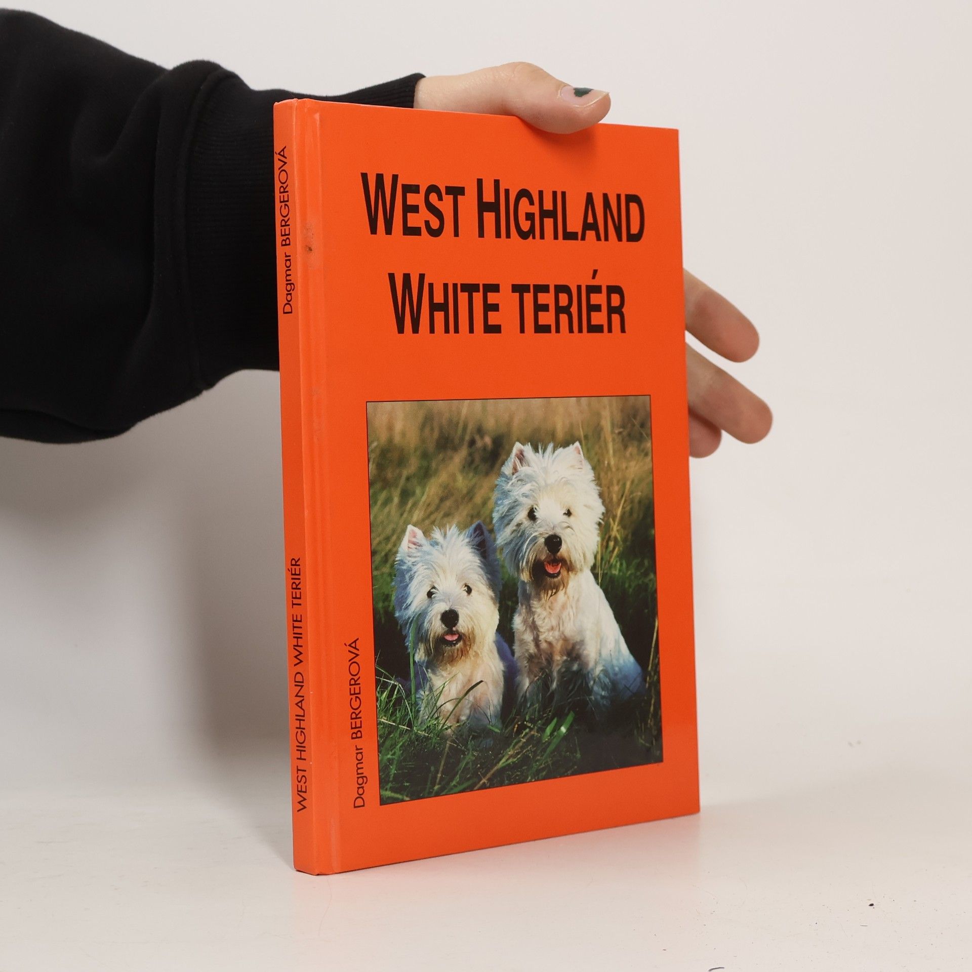 West highland white teriér