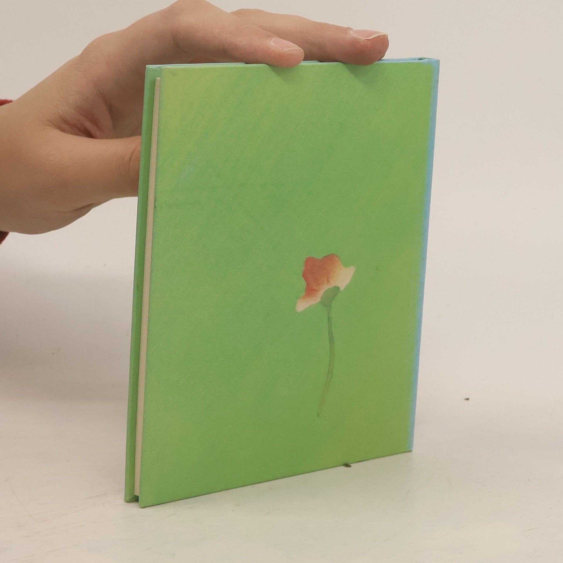 Autorenkollektiv Das kleine Buch zum Geburtstag