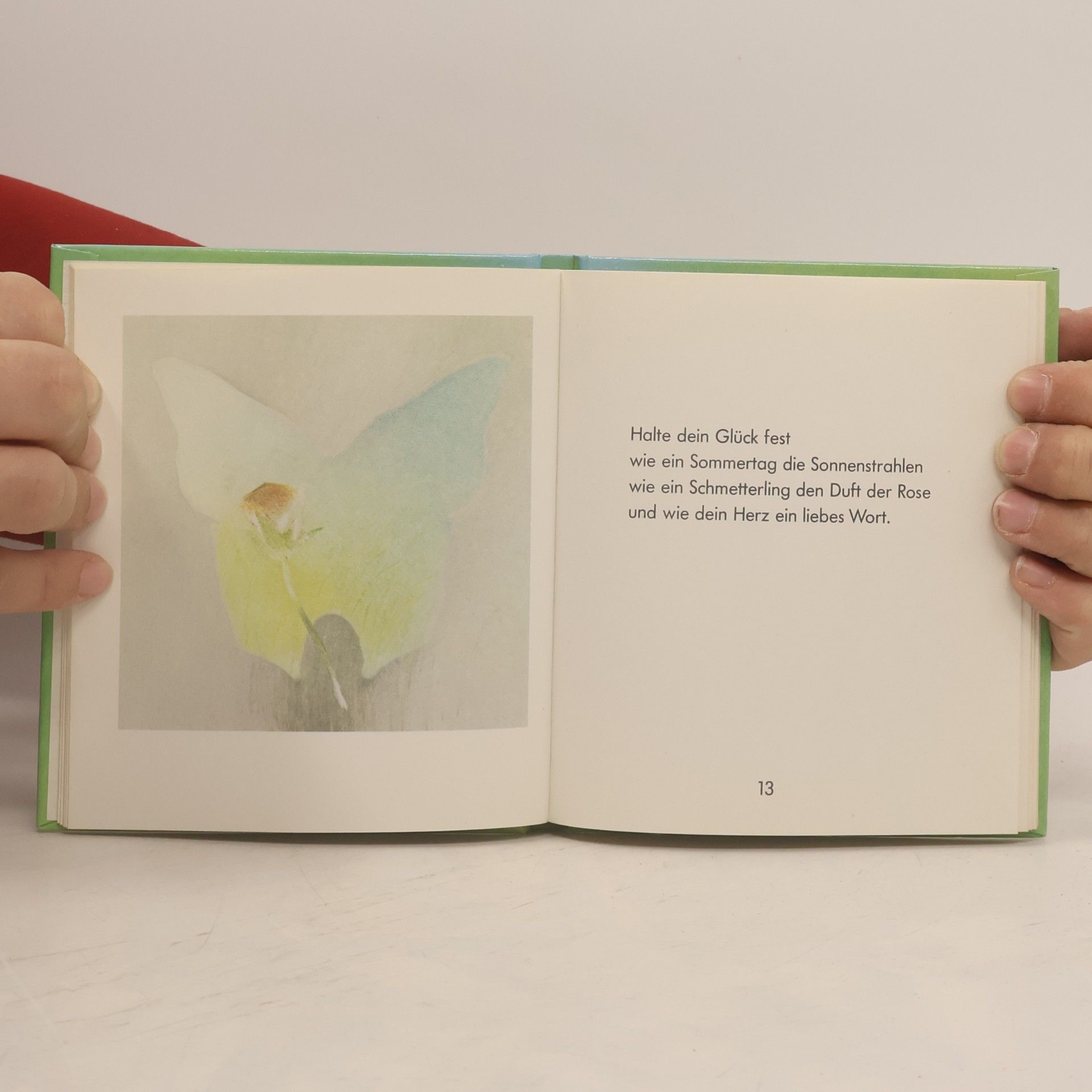 Autorenkollektiv Das kleine Buch zum Geburtstag