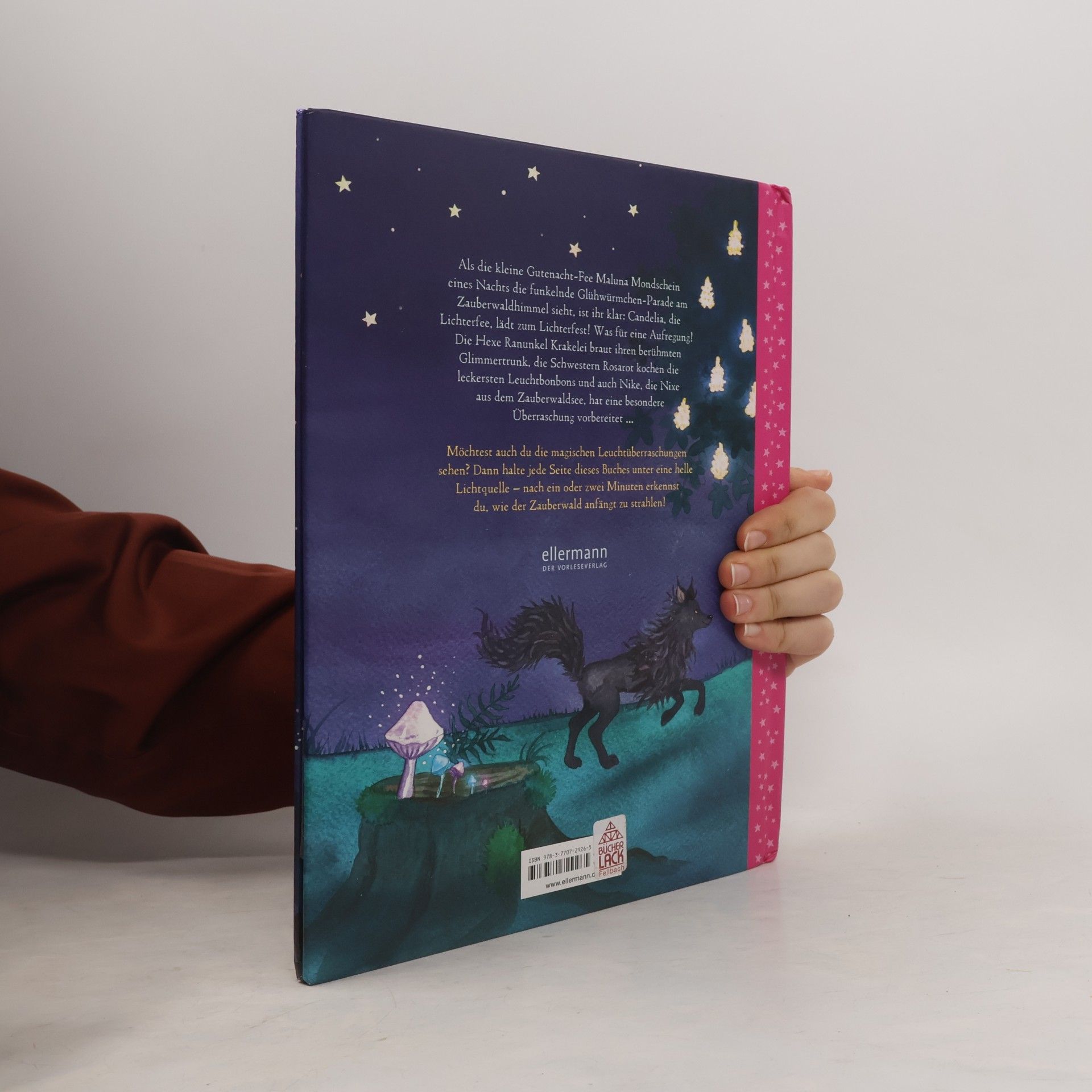 Andrea Schütze Maluna Mondschein und die kleine Lichterfee