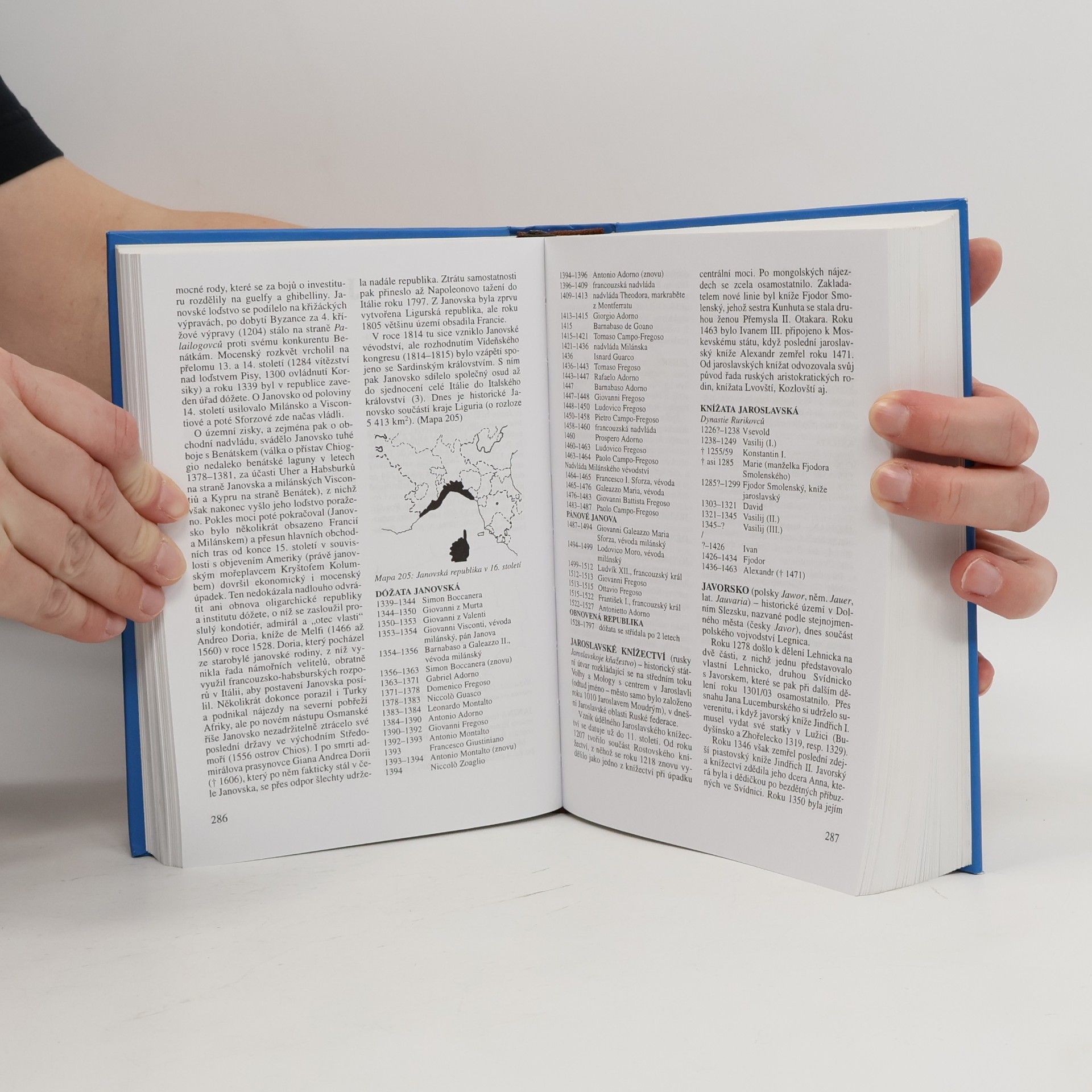 Autorenkollektiv Evropa v proměnách staletí