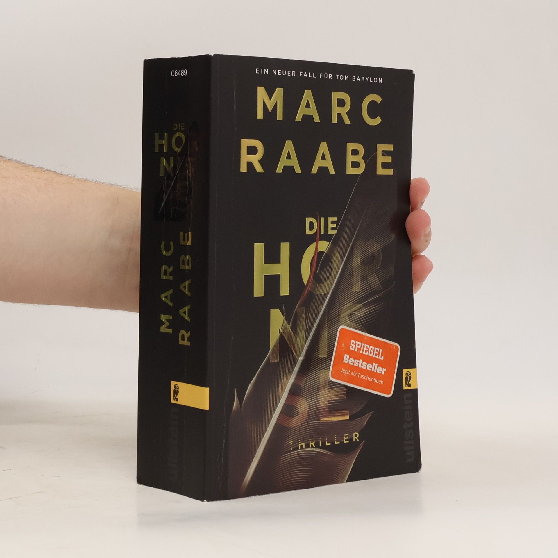 Marc Raabe Die Hornise