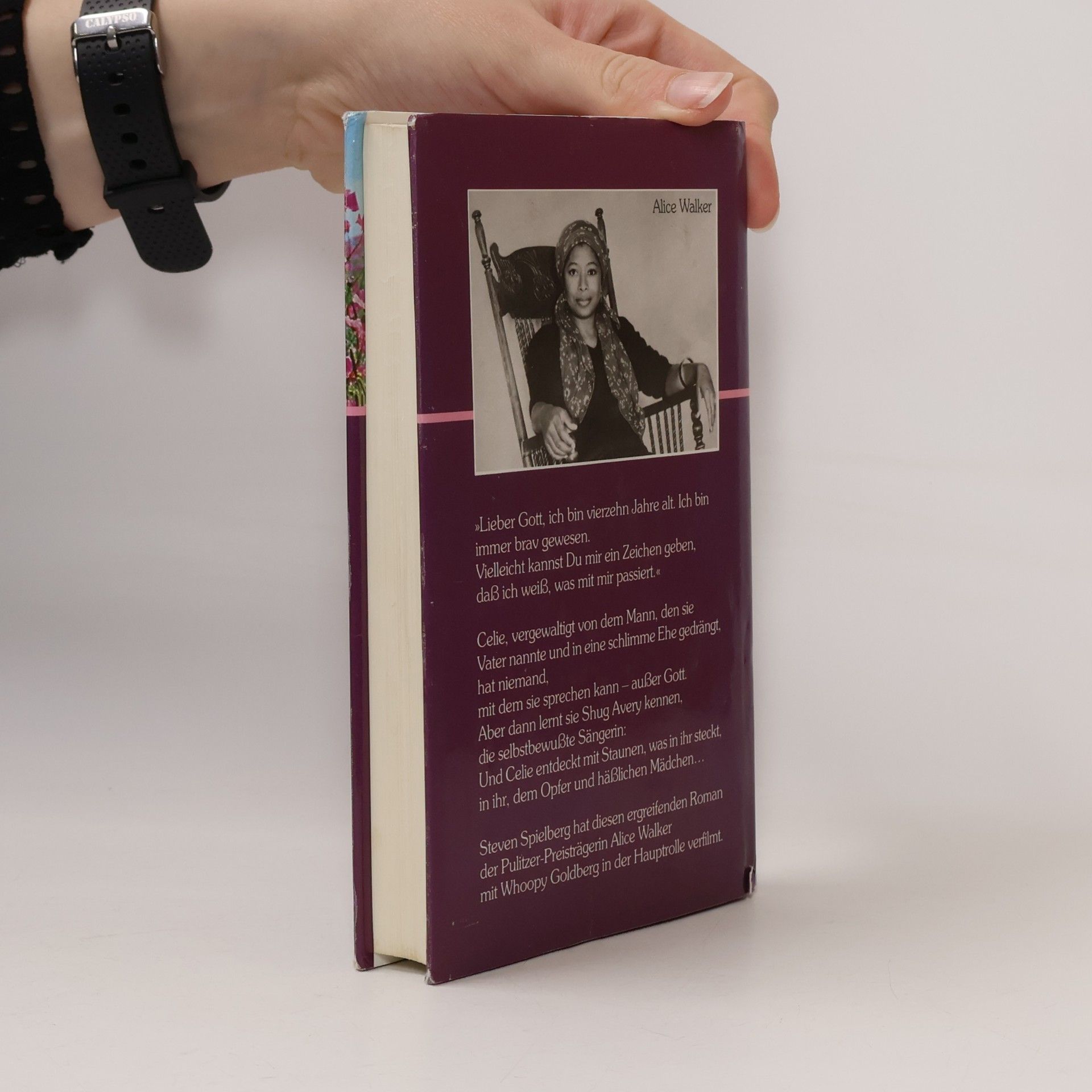 Alice Walker Die Farbe Lila