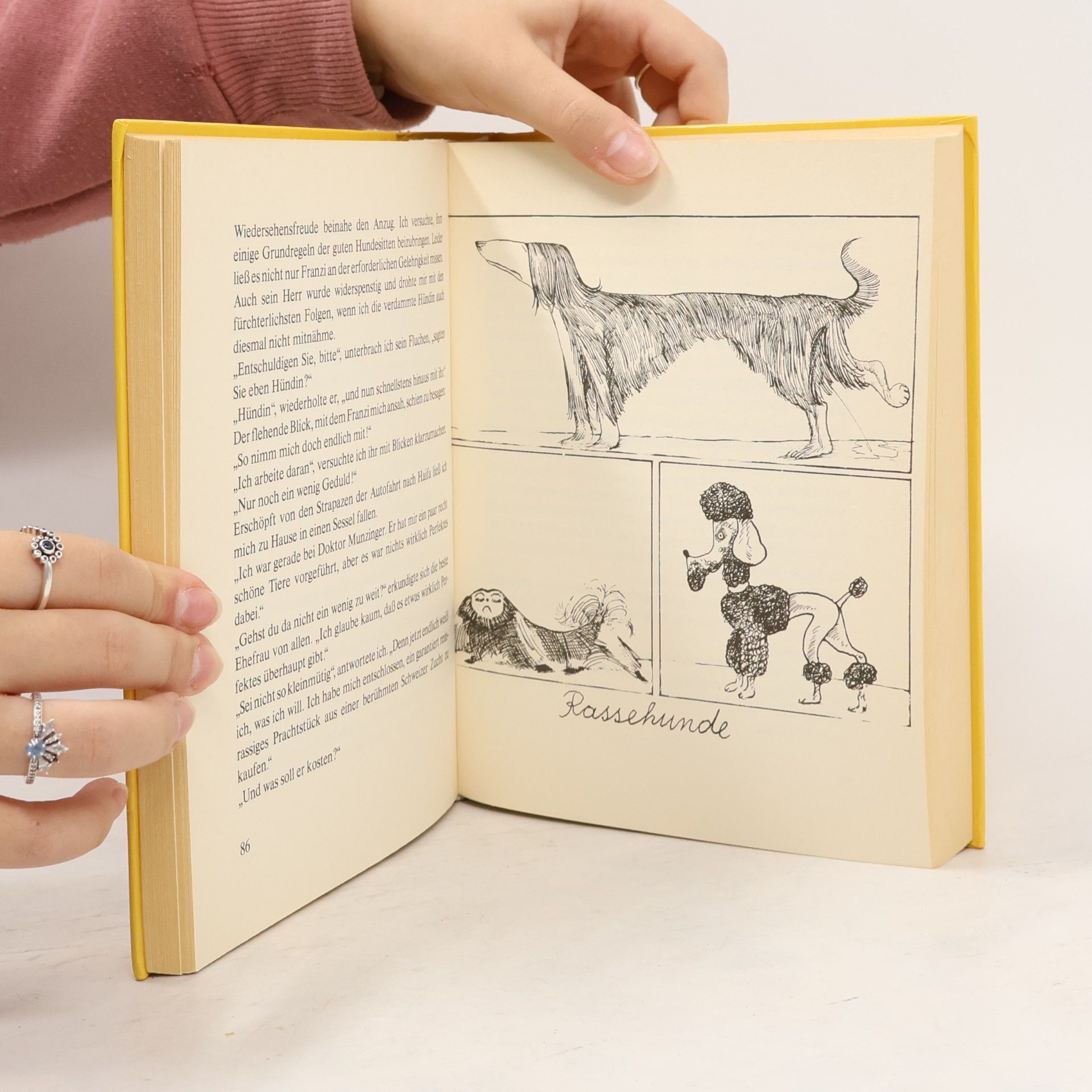 Autorenkollektiv Kishons schönste Geschichten für Kinder
