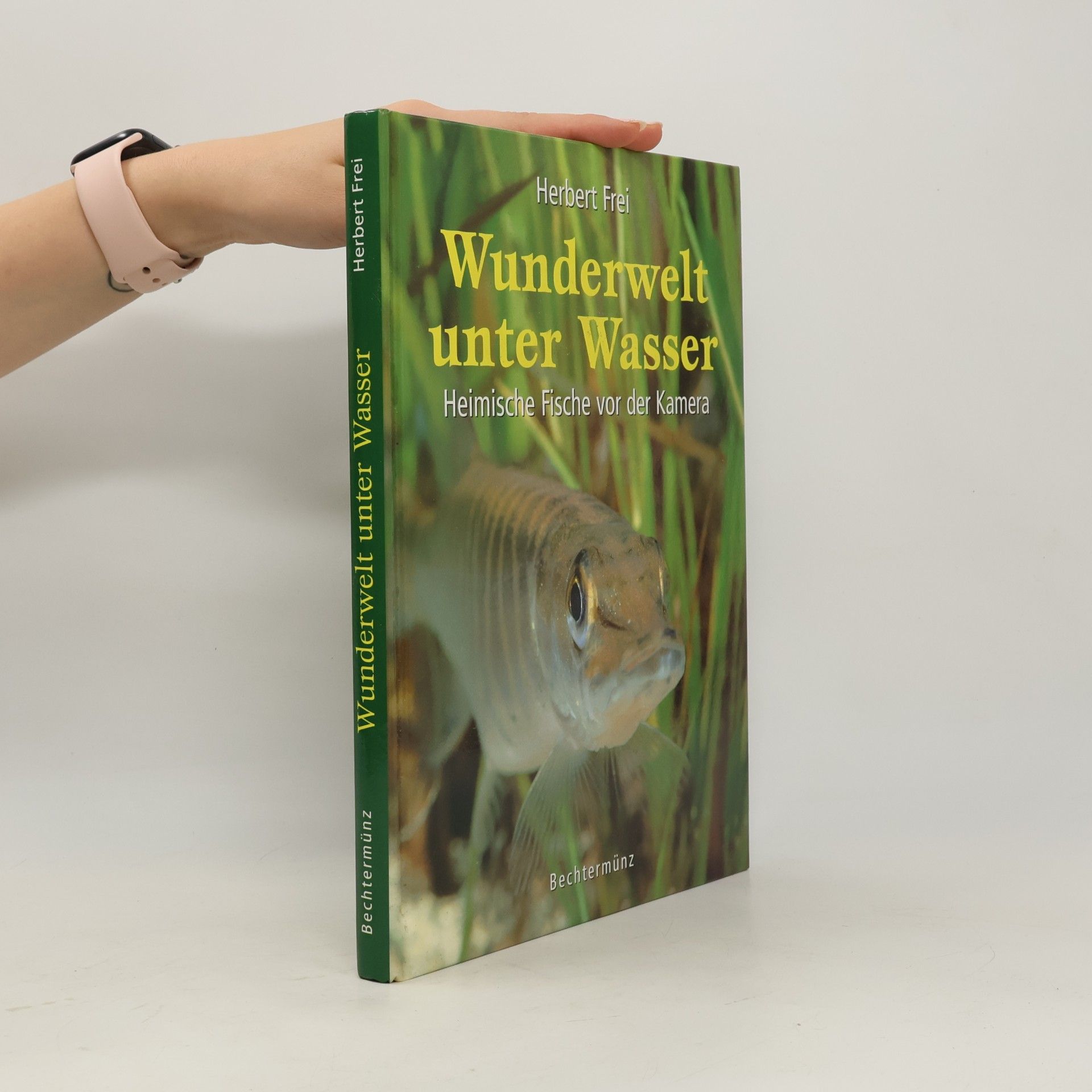 Wunderwelt unter Wasser