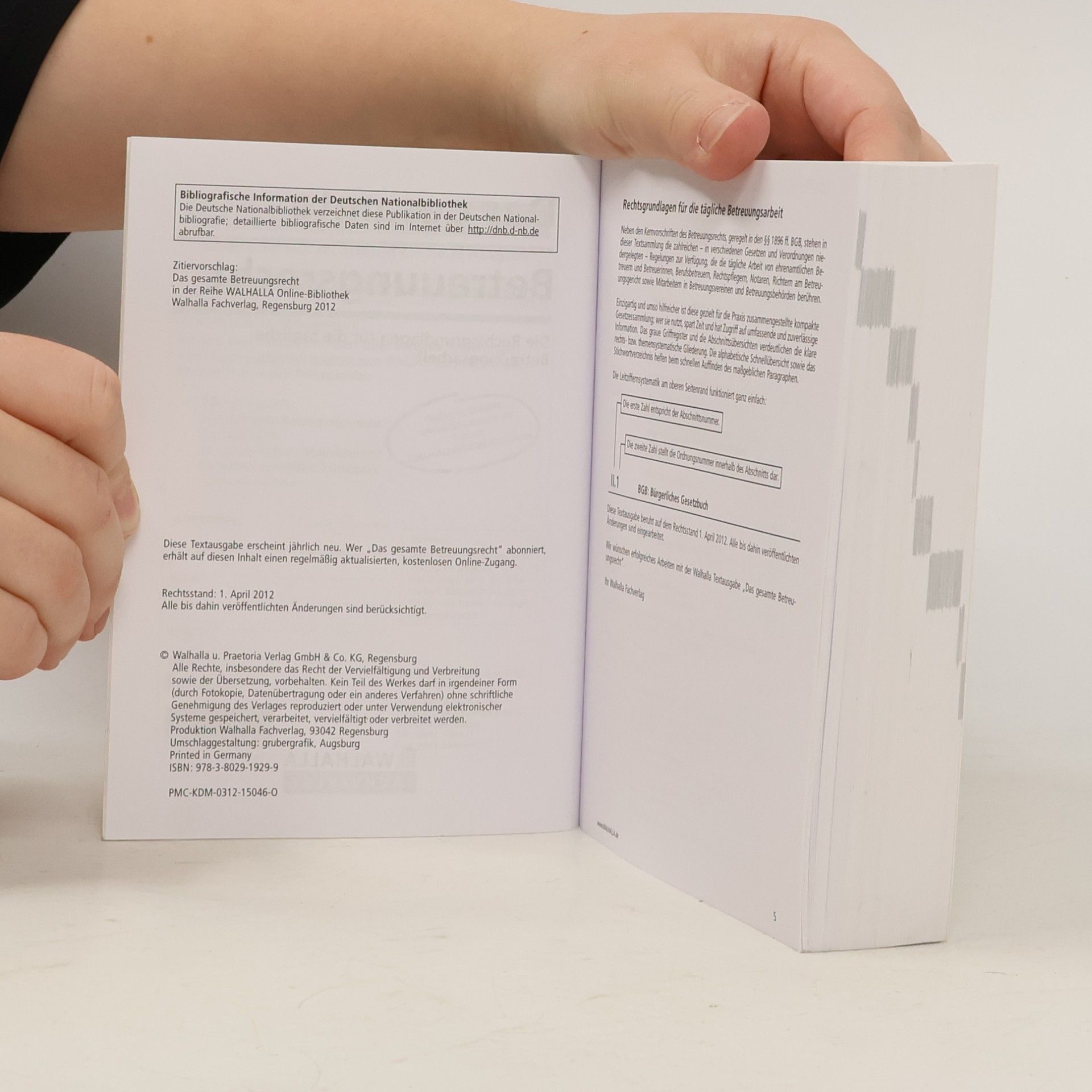 Autorenkollektiv Das gesamte Betreuungsrecht