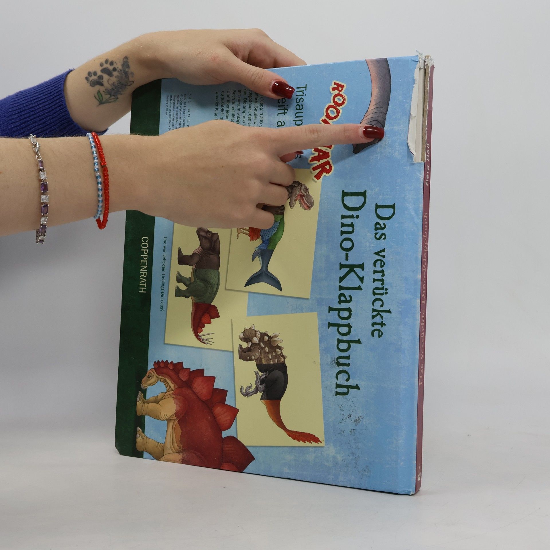 Sara Ball Das verrückte Dino-Klappbuch