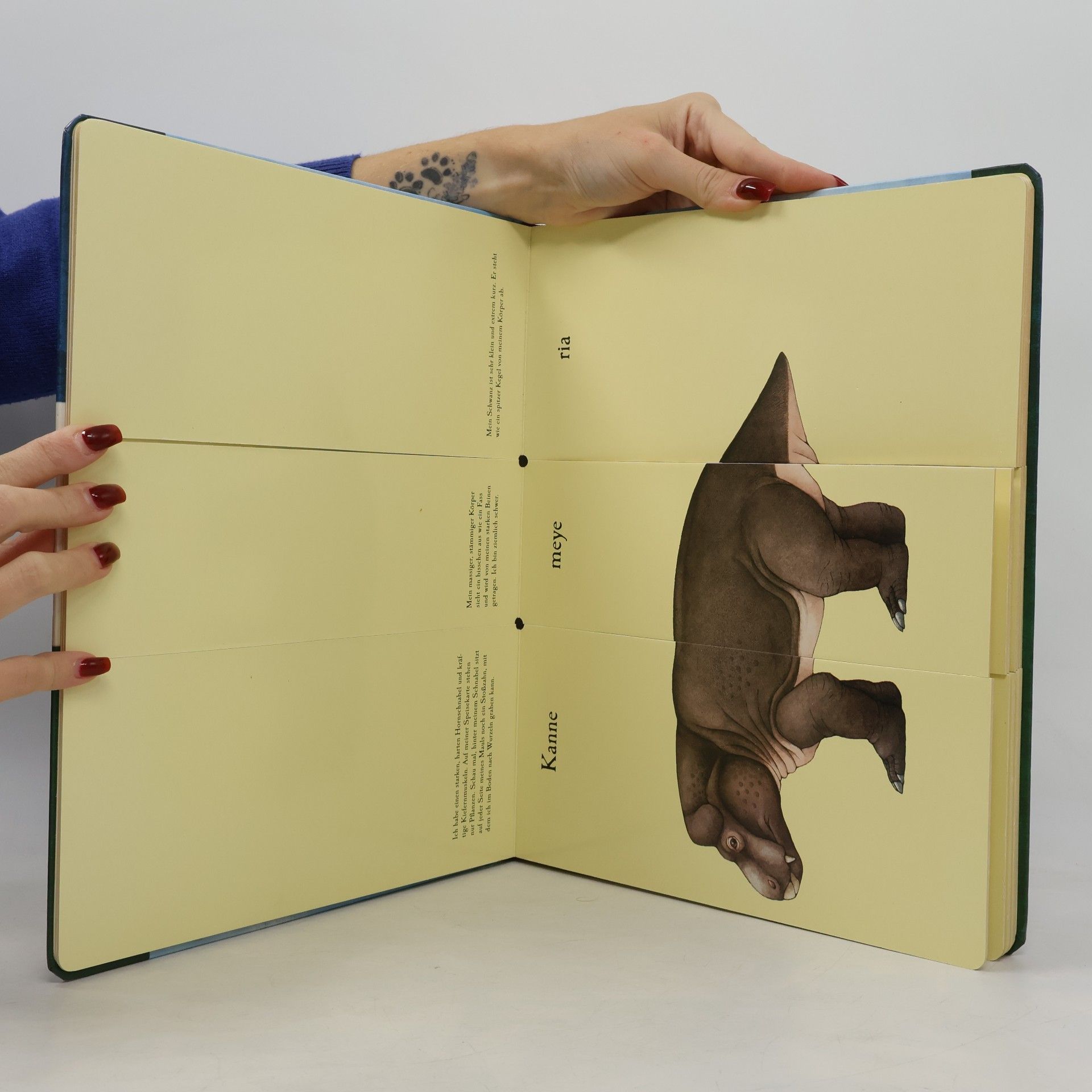 Sara Ball Das verrückte Dino-Klappbuch