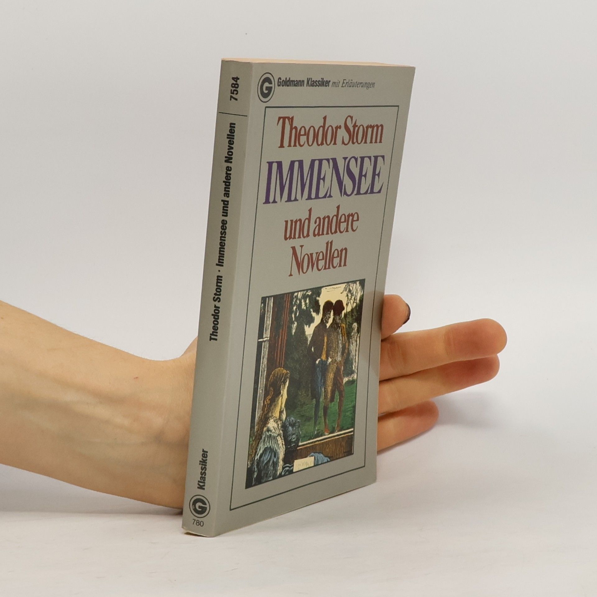 Theodor Storm Immensee und andere Novellen