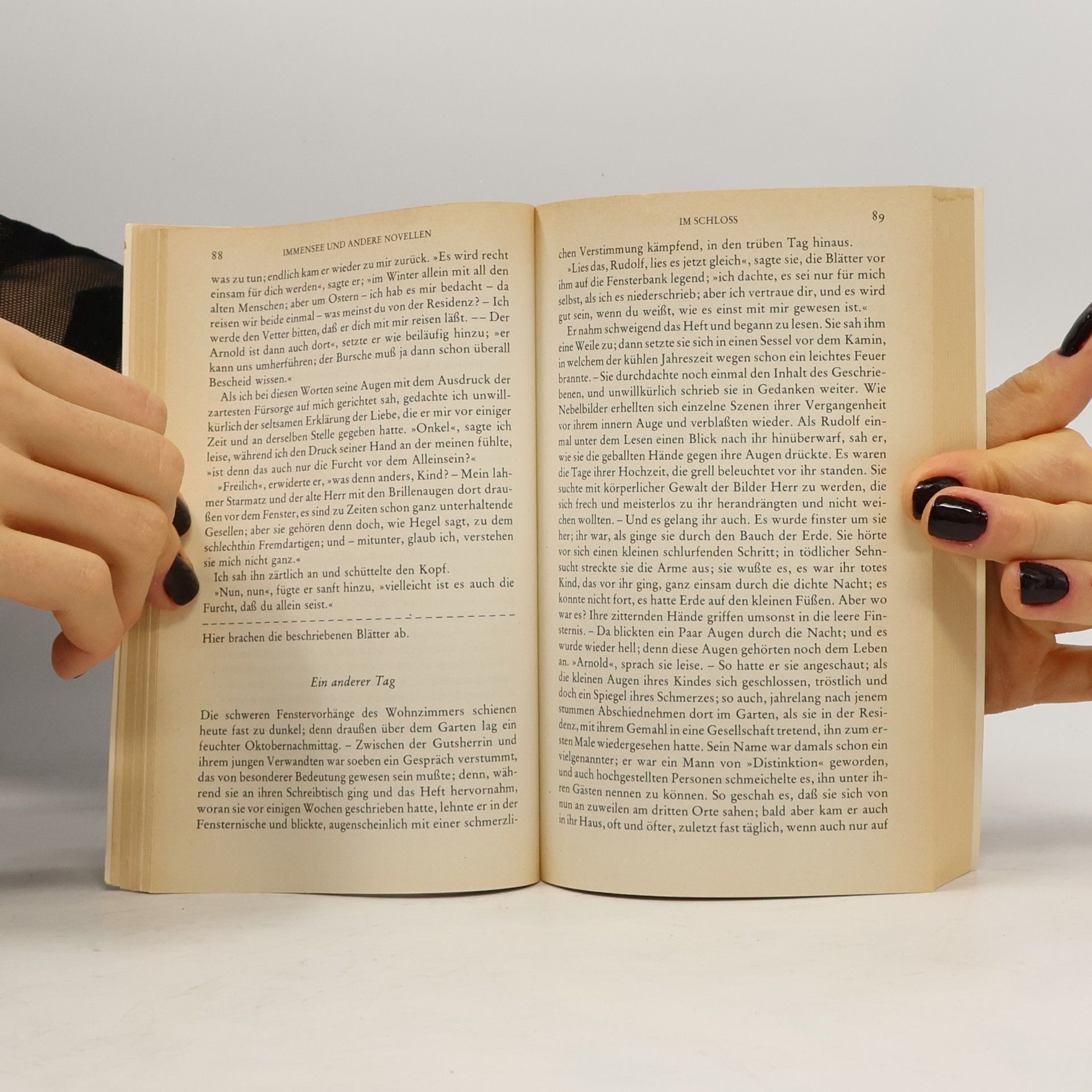 Theodor Storm Immensee und andere Novellen