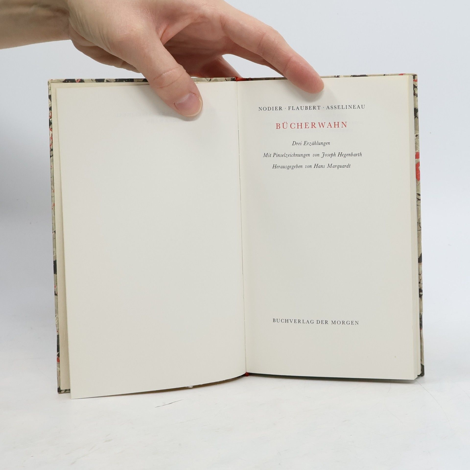 Gustave Flaubert Bücherwahn