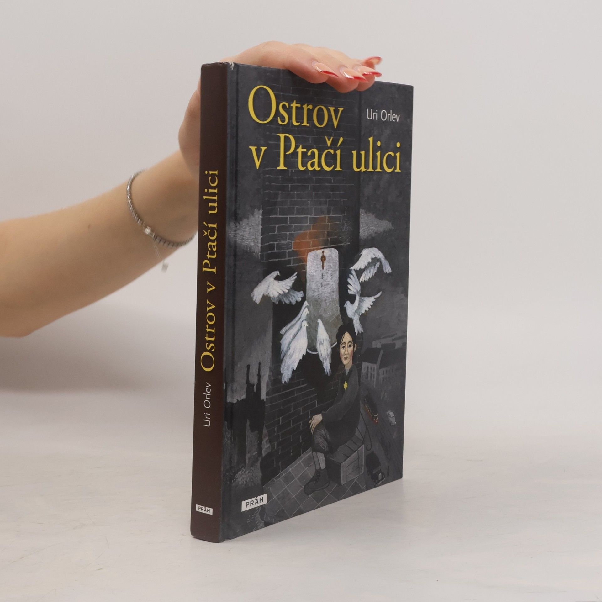 Uri Orlev Ostrov v Ptačí ulici