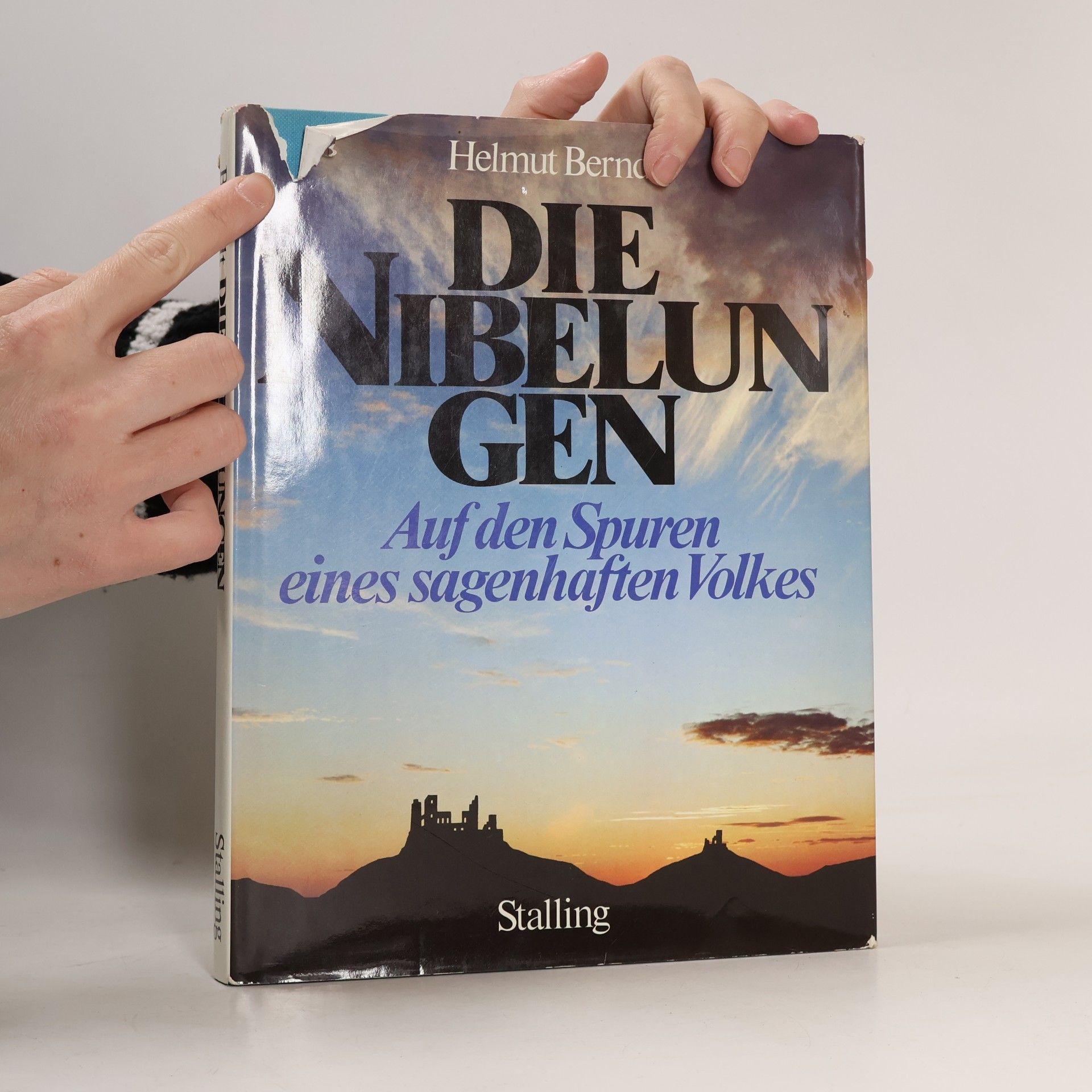 Helmut Berndt Die Nibelungen