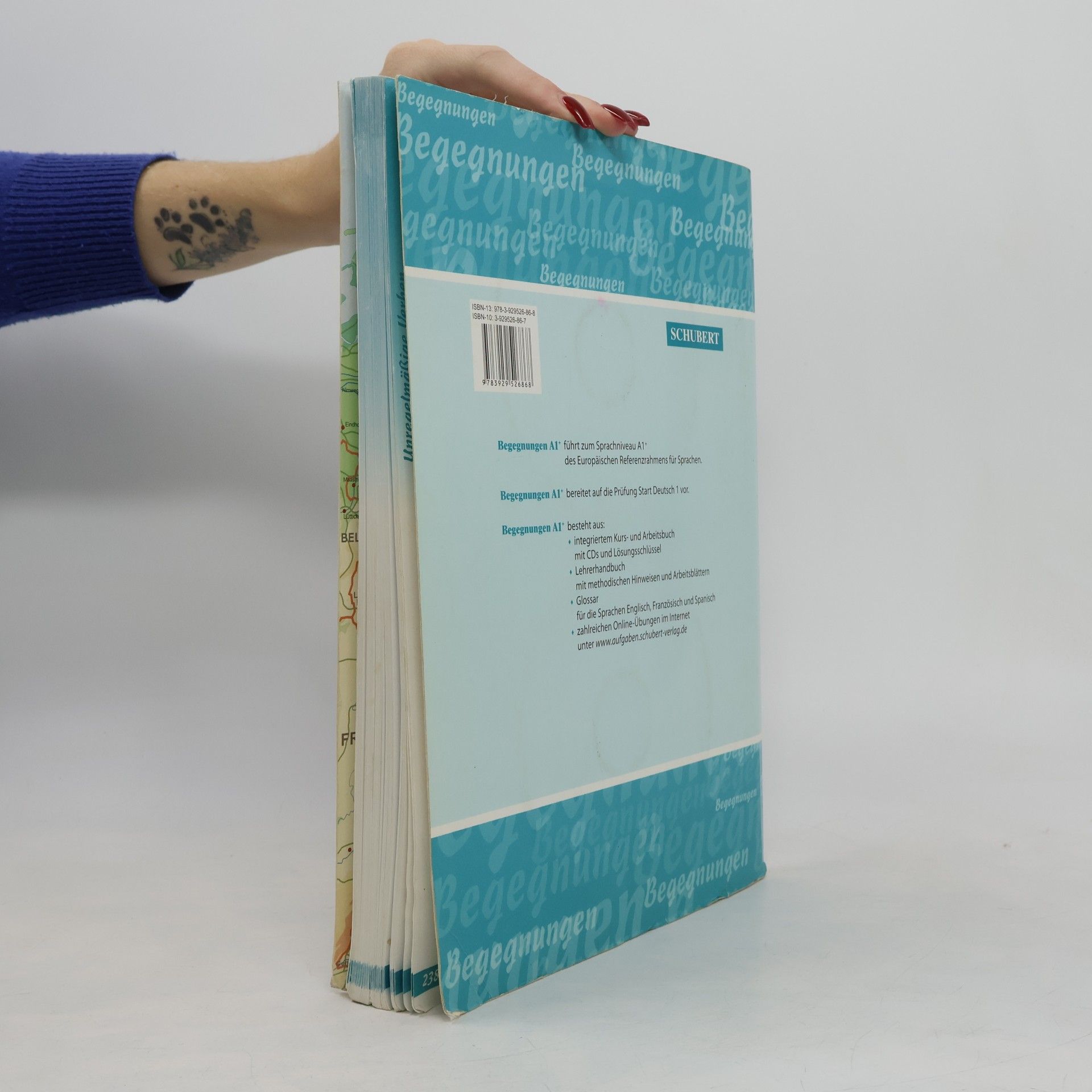 Anne Buscha Begegnungen : Integriertes Kurs- und Arbeitsbuch : Sprachniveau A1+
