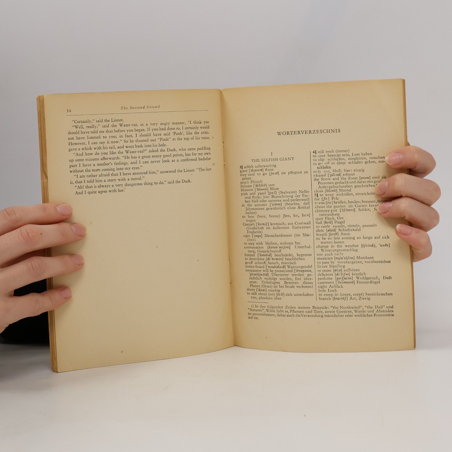 Wilde Selected Tales