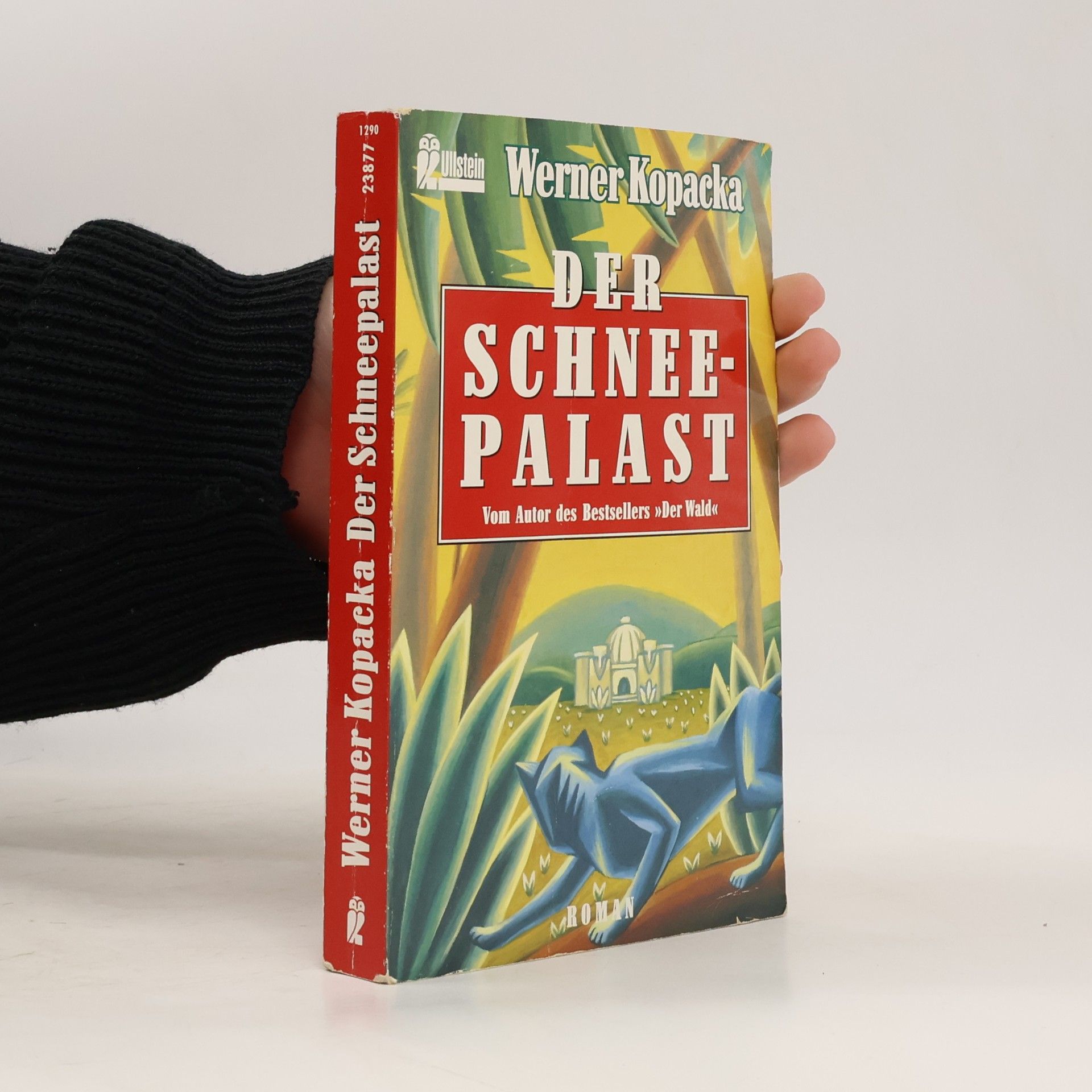 Werner Kopacka Der Schneepalast