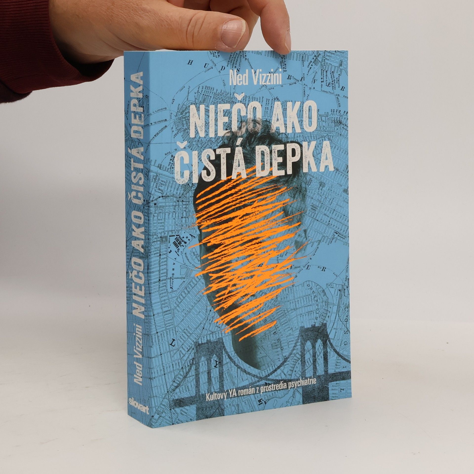 Ned Vizzini Niečo ako čistá depka