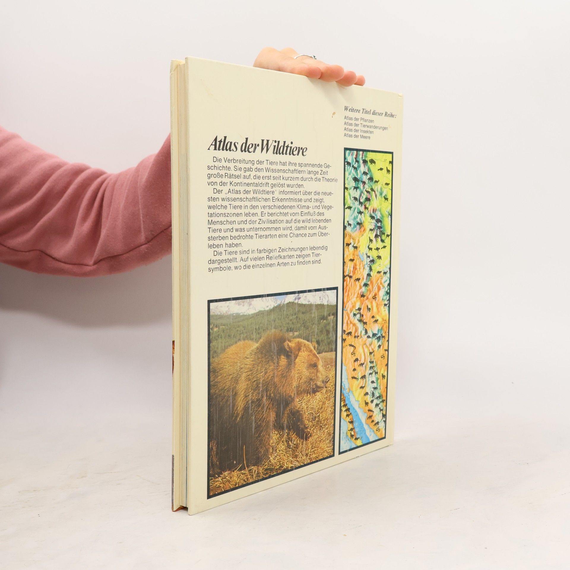 Jacqueline Nayman Atlas der Wildtiere