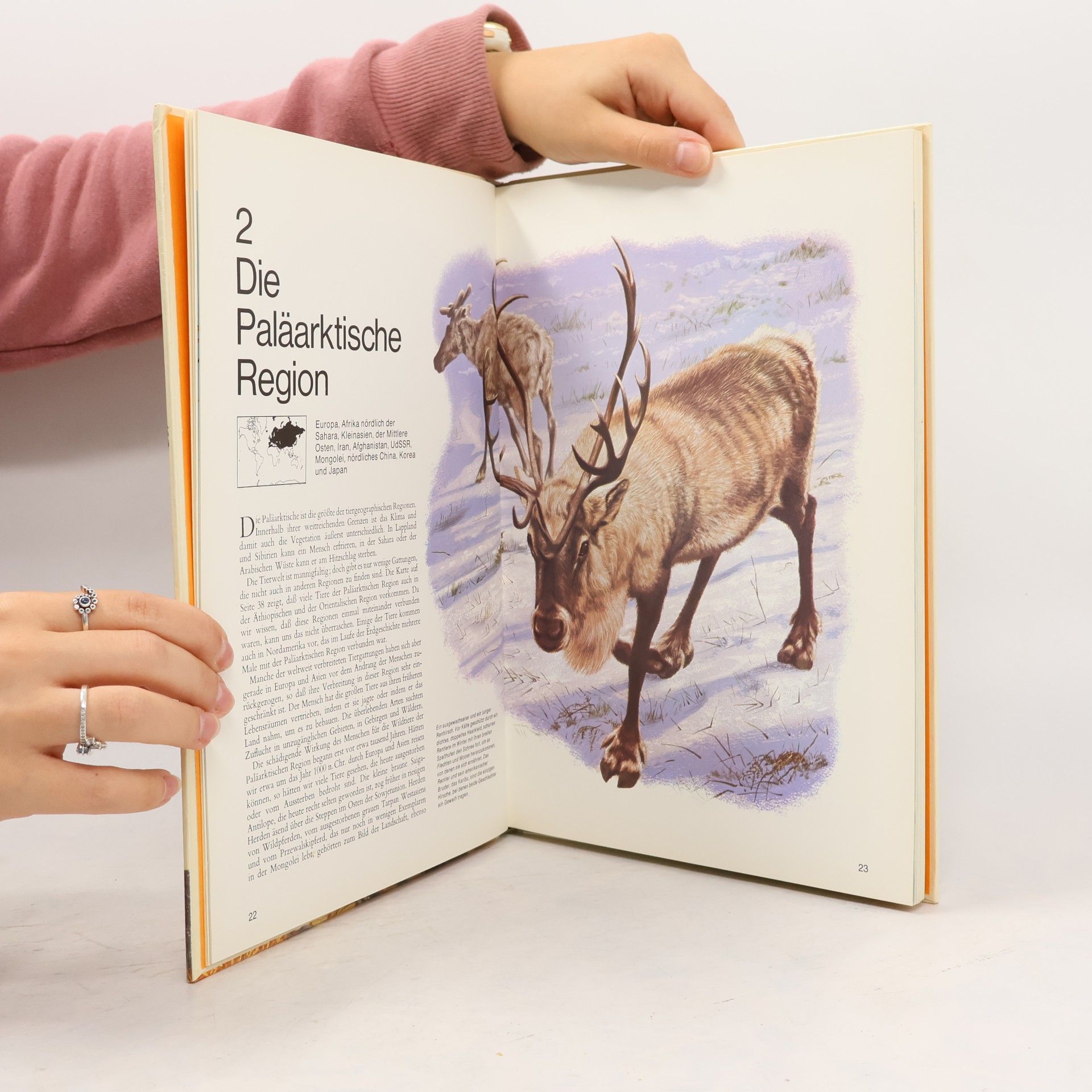 Jacqueline Nayman Atlas der Wildtiere