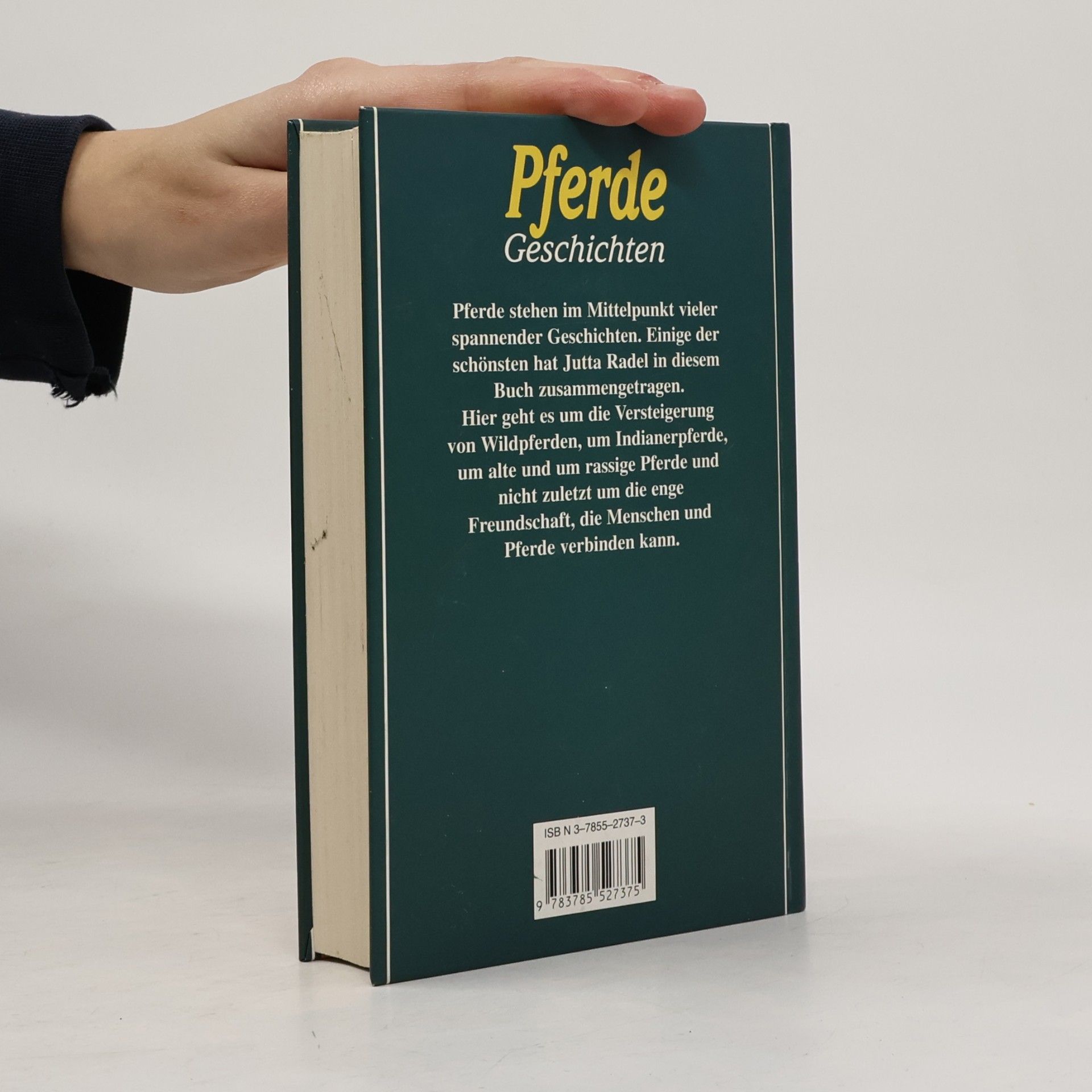 Pferdegeschichten