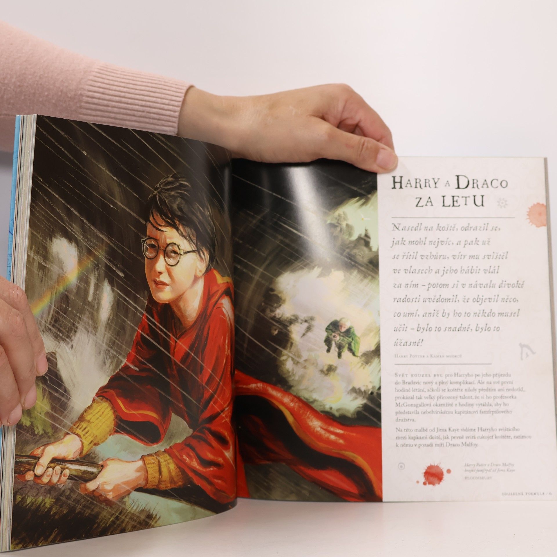 Kateřina Stupková Harry Potter. Cesta dějinami čar a kouzel