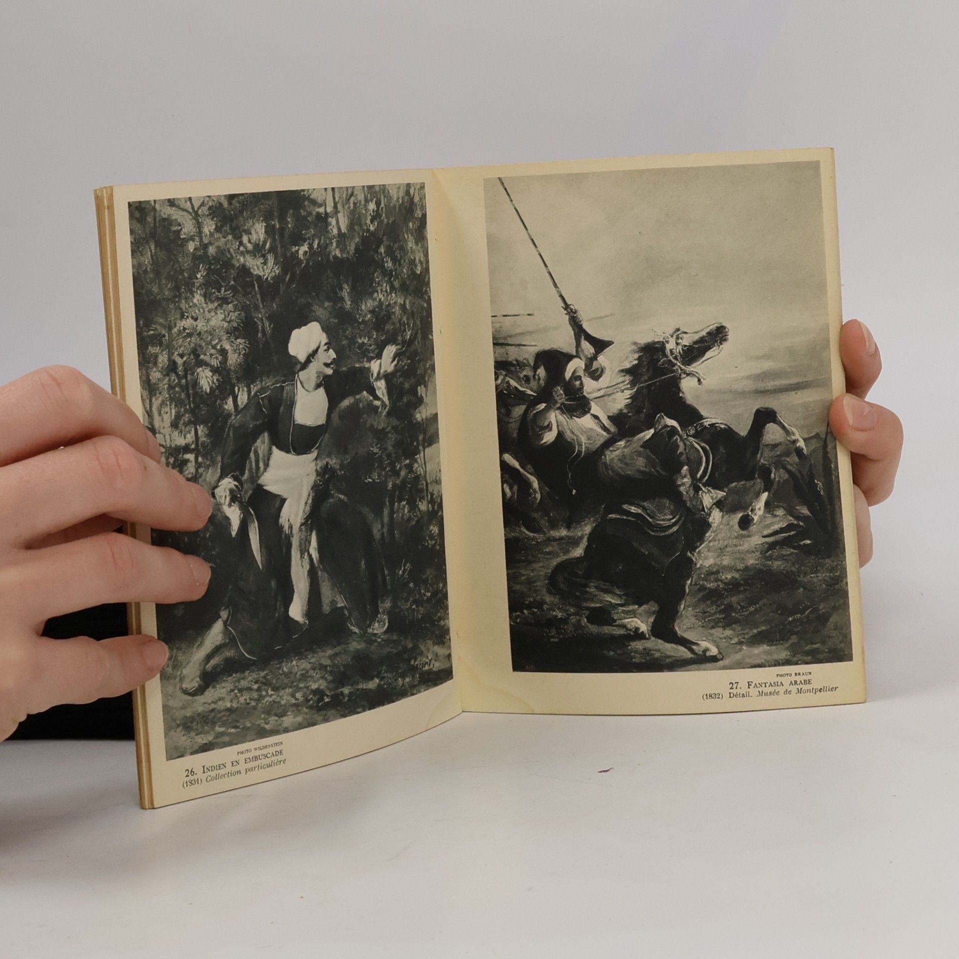 Various authors Delacroix. Collection des maitres