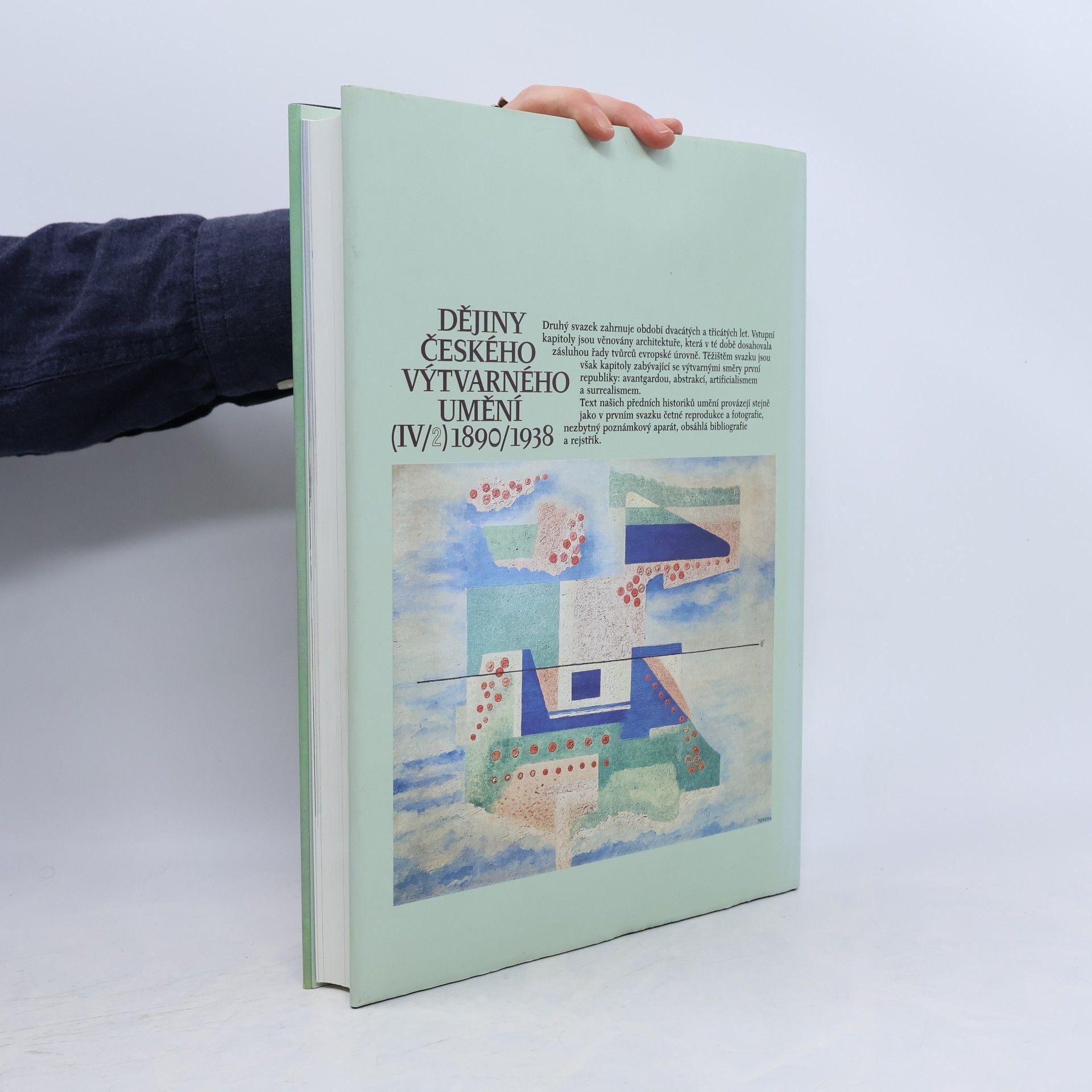 Autorenkollektiv Dějiny českého výtvarného umění 1890-1938 IV/2