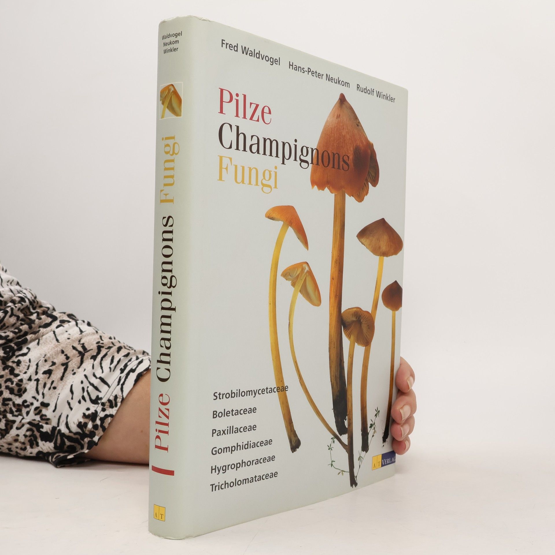 Pilze, Champignons, Fungi