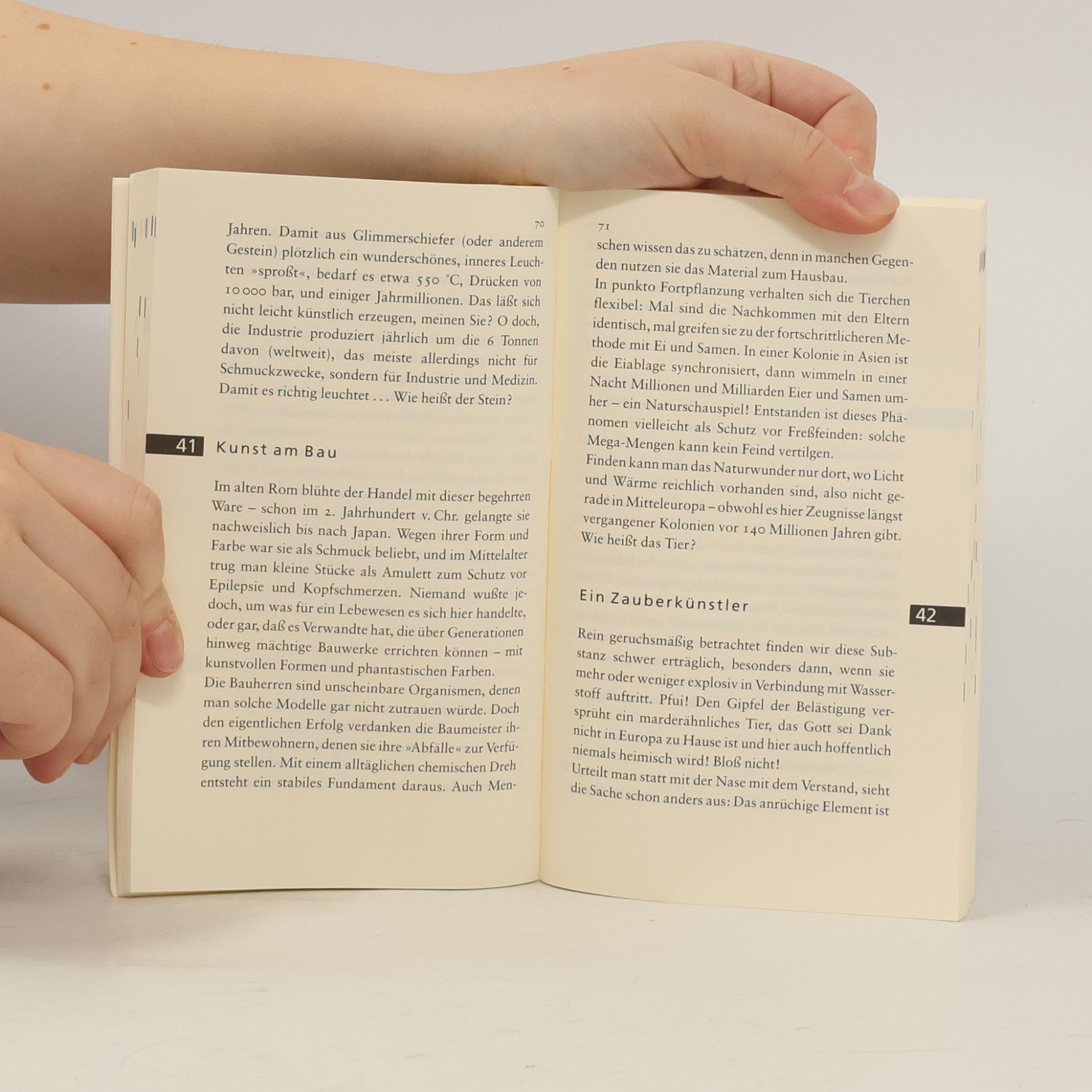 Signe Seiler Insel Taschenbuch - it 2529: Natur-Rätsel