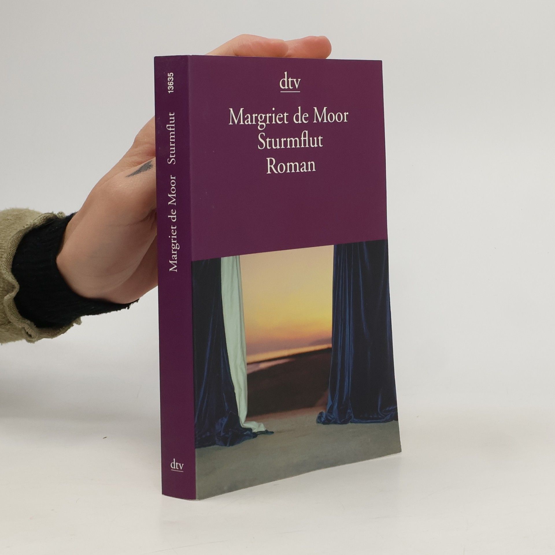 Margriet de Moor Sturmflut