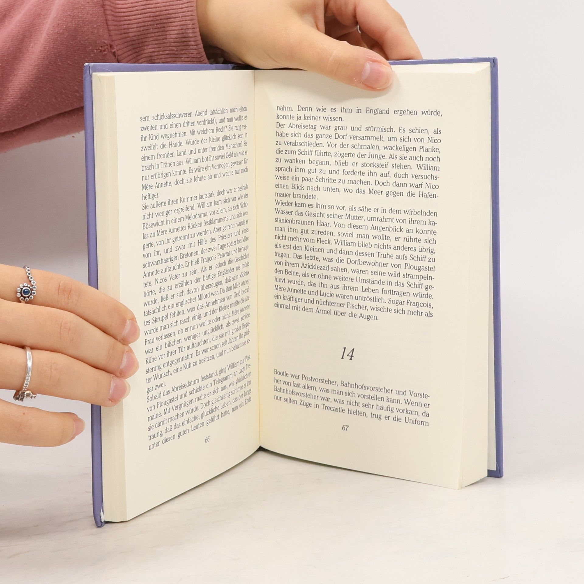 David Benedictus Der kleine Sir Nicholas. Das Buch zur TV-Serie