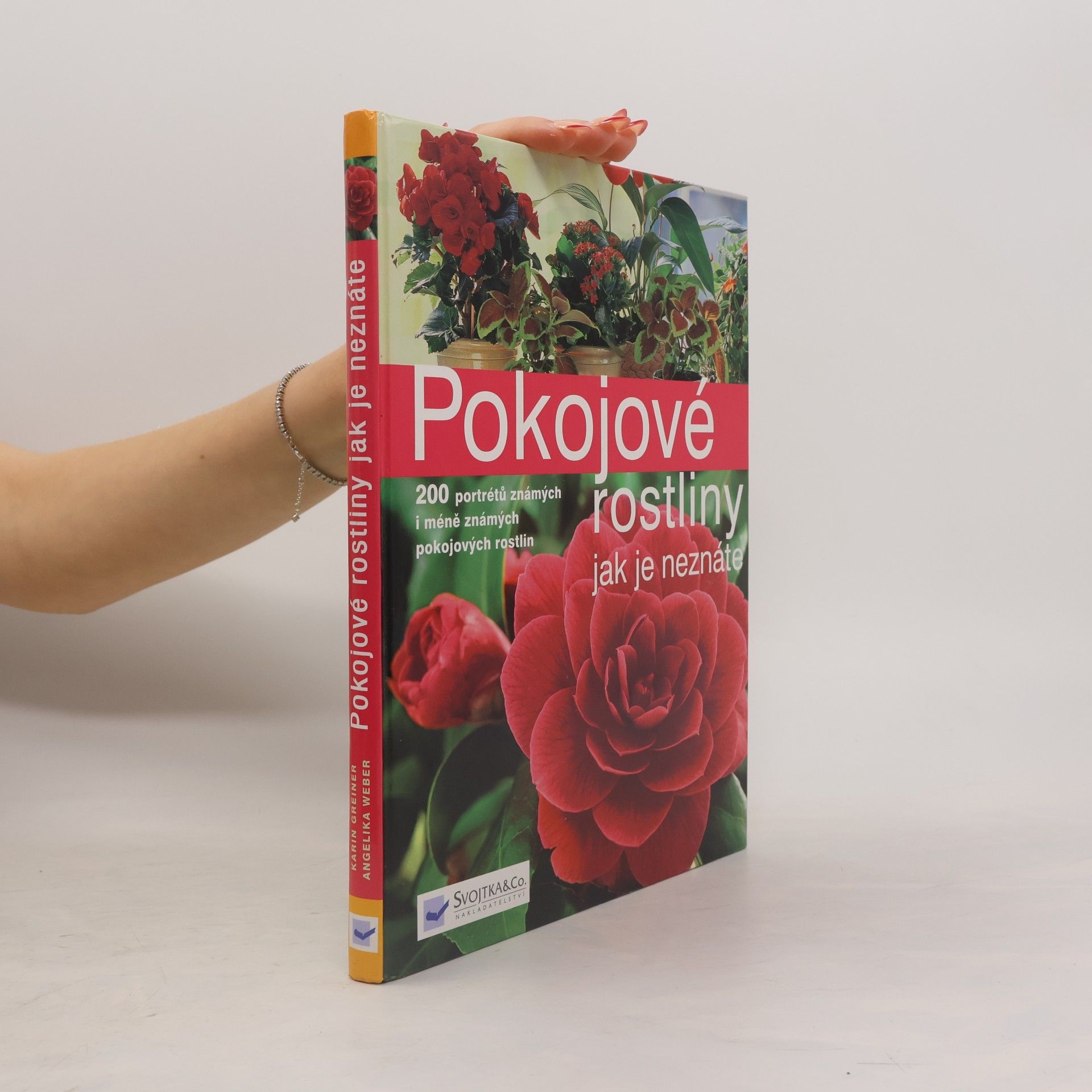Pokojové rostliny jak je neznáte