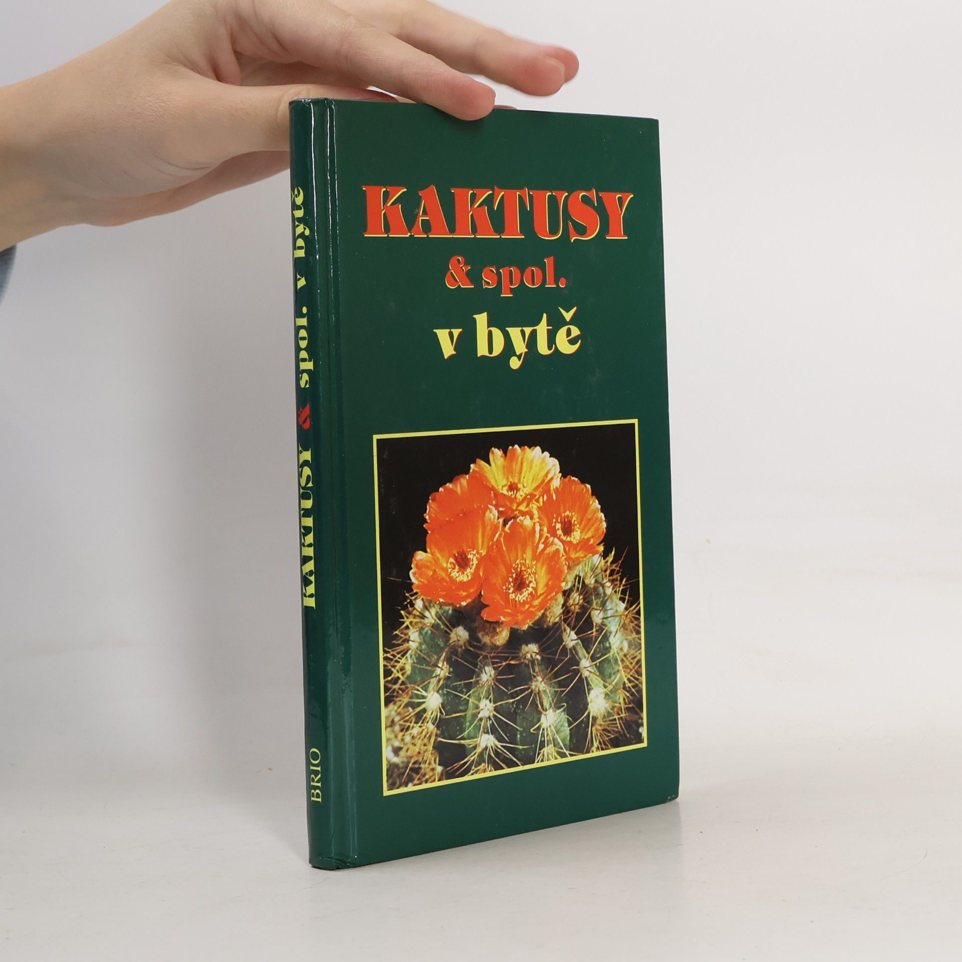 Kaktusy & spol. v bytě