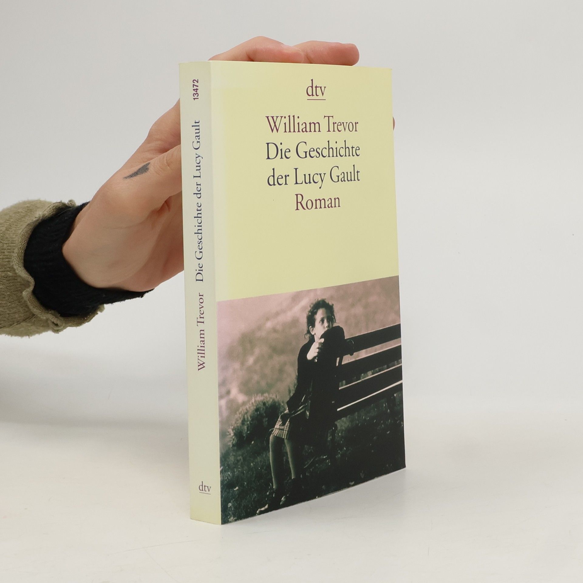 William Trevor Die Geschichte der Lucy Gault