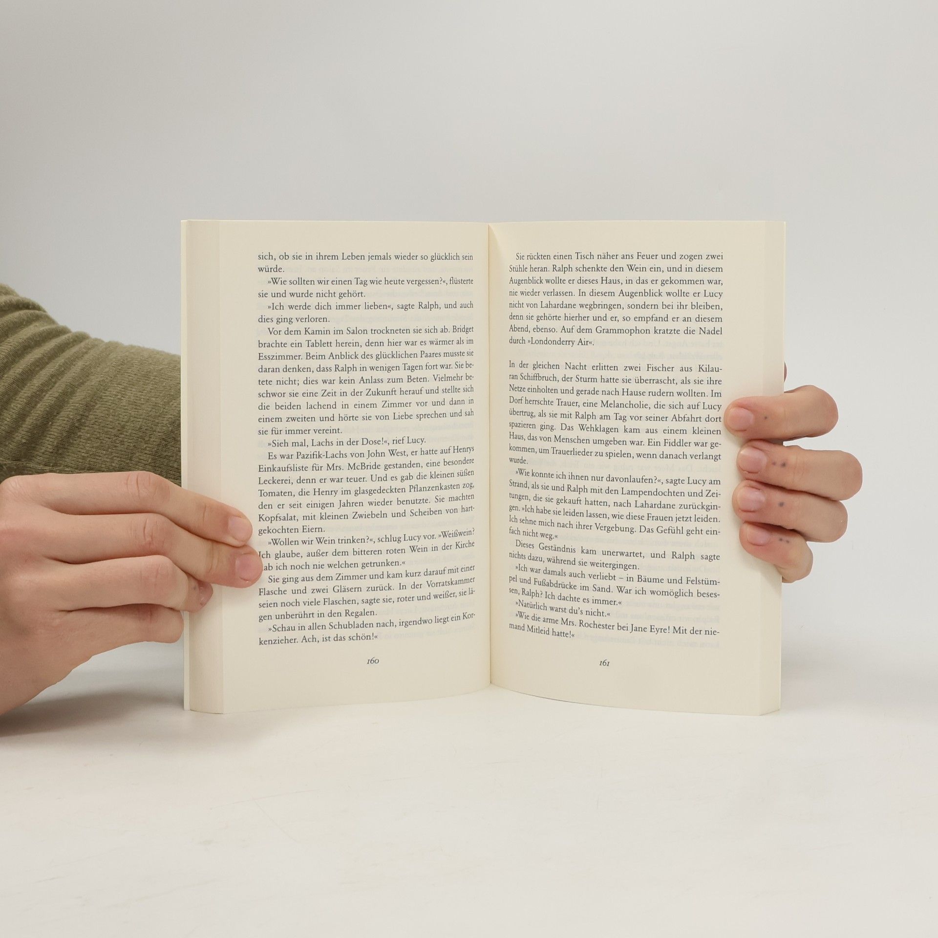 William Trevor Die Geschichte der Lucy Gault