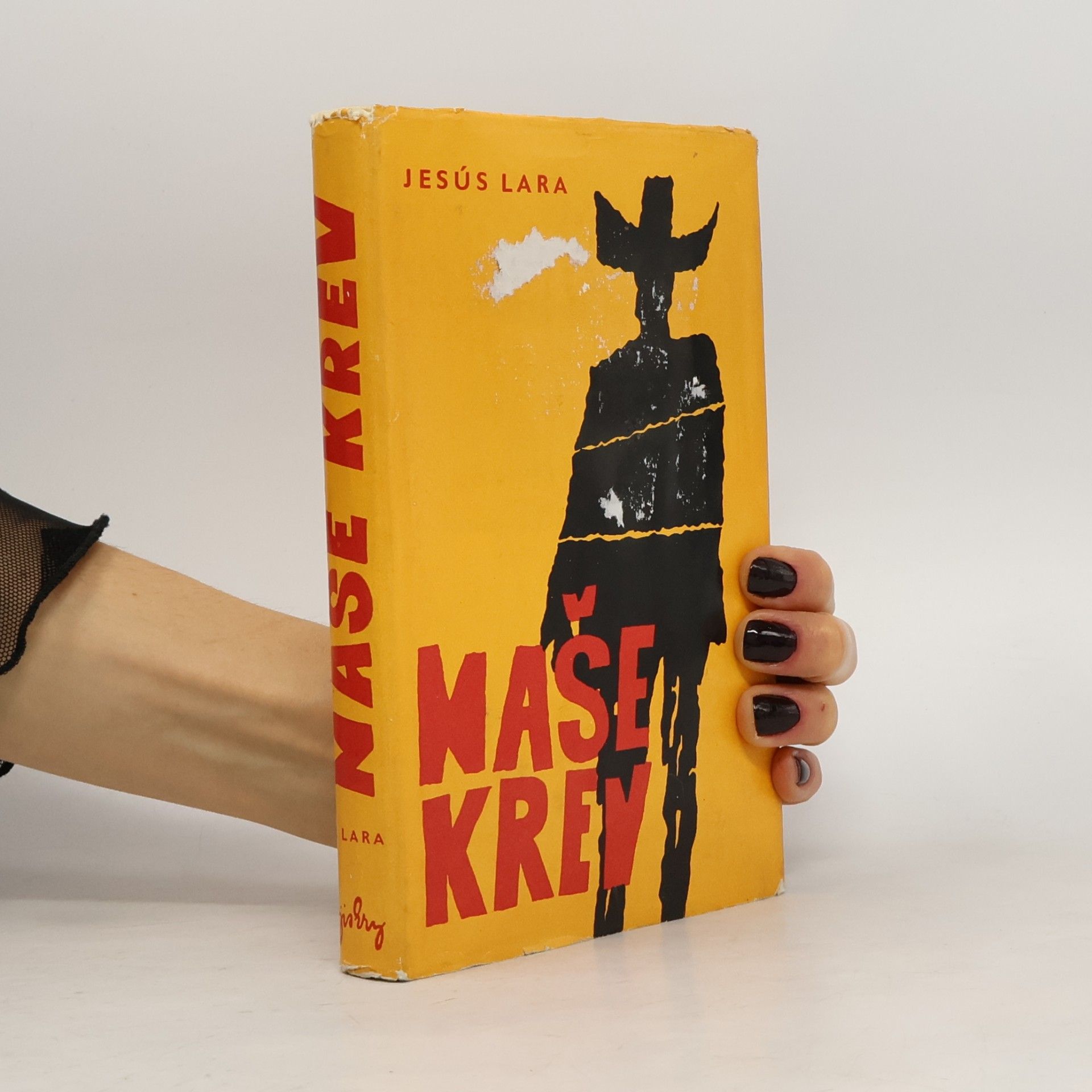 Naše krev : Kečuánský román