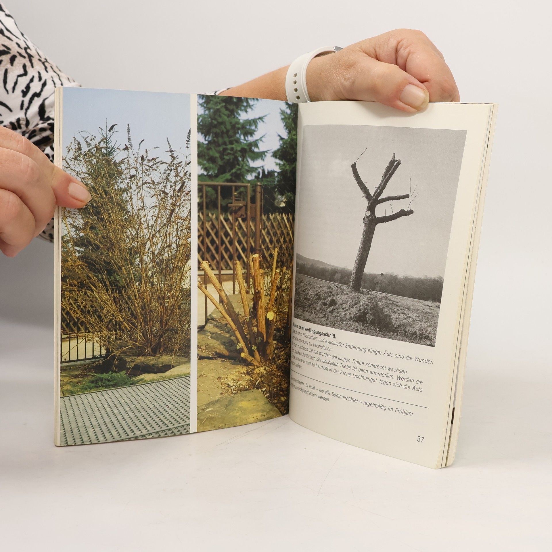 Erich Zettl Der richtige Schnitt von Obst- und Ziergehölzen, Rosen und Hecken