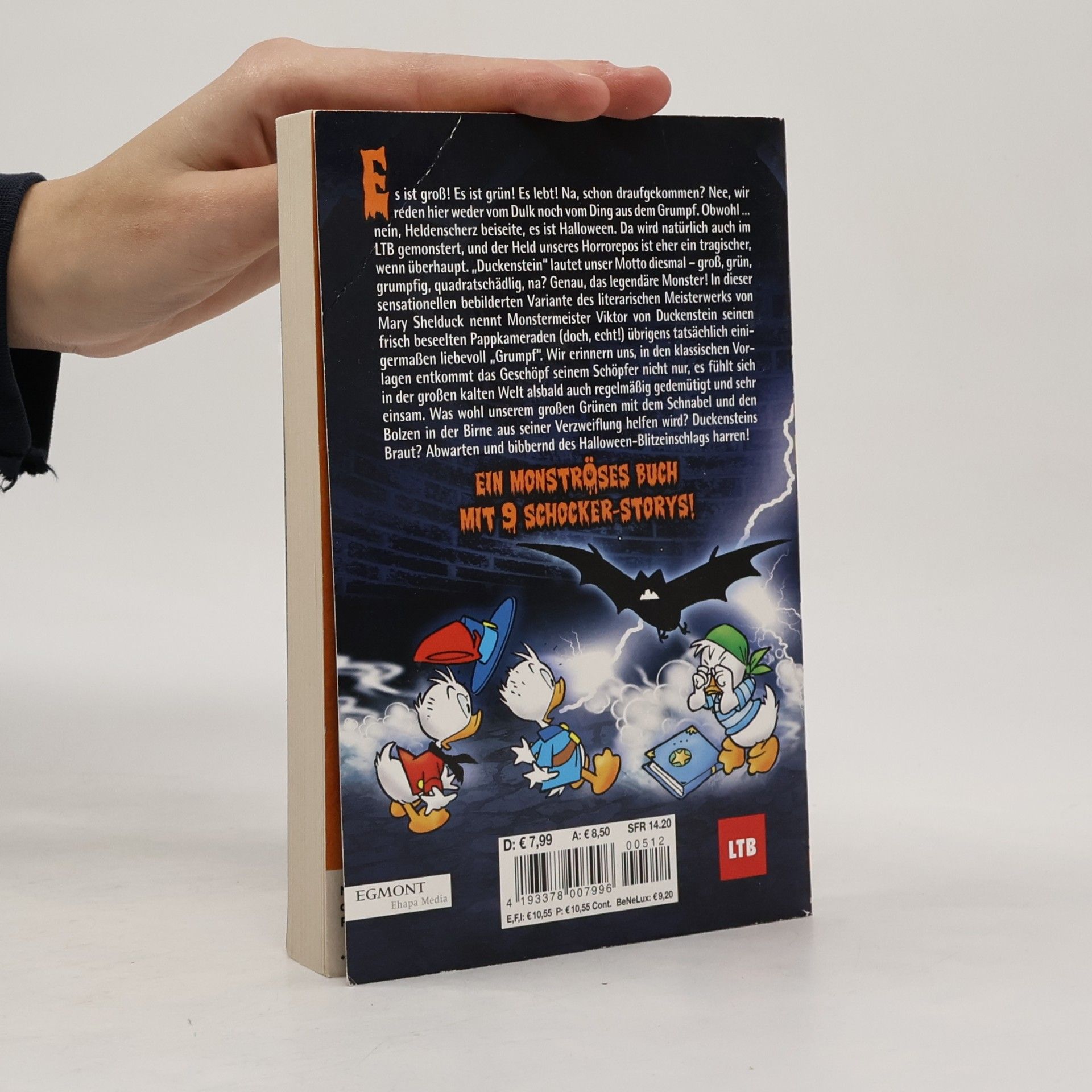 Manuela Buchholz Lustiges Taschenbuch