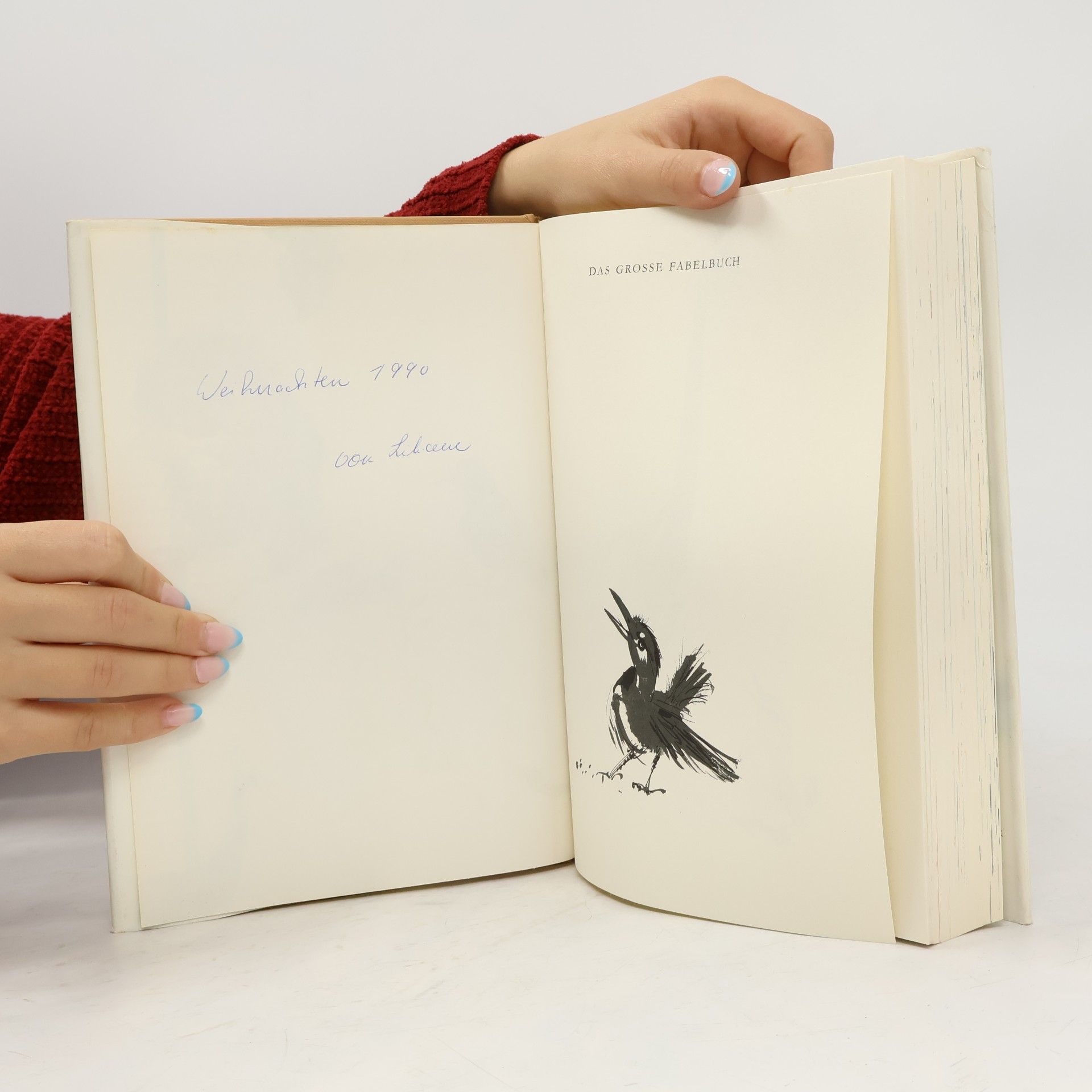 Kolektiv autorů Das große Fabelbuch