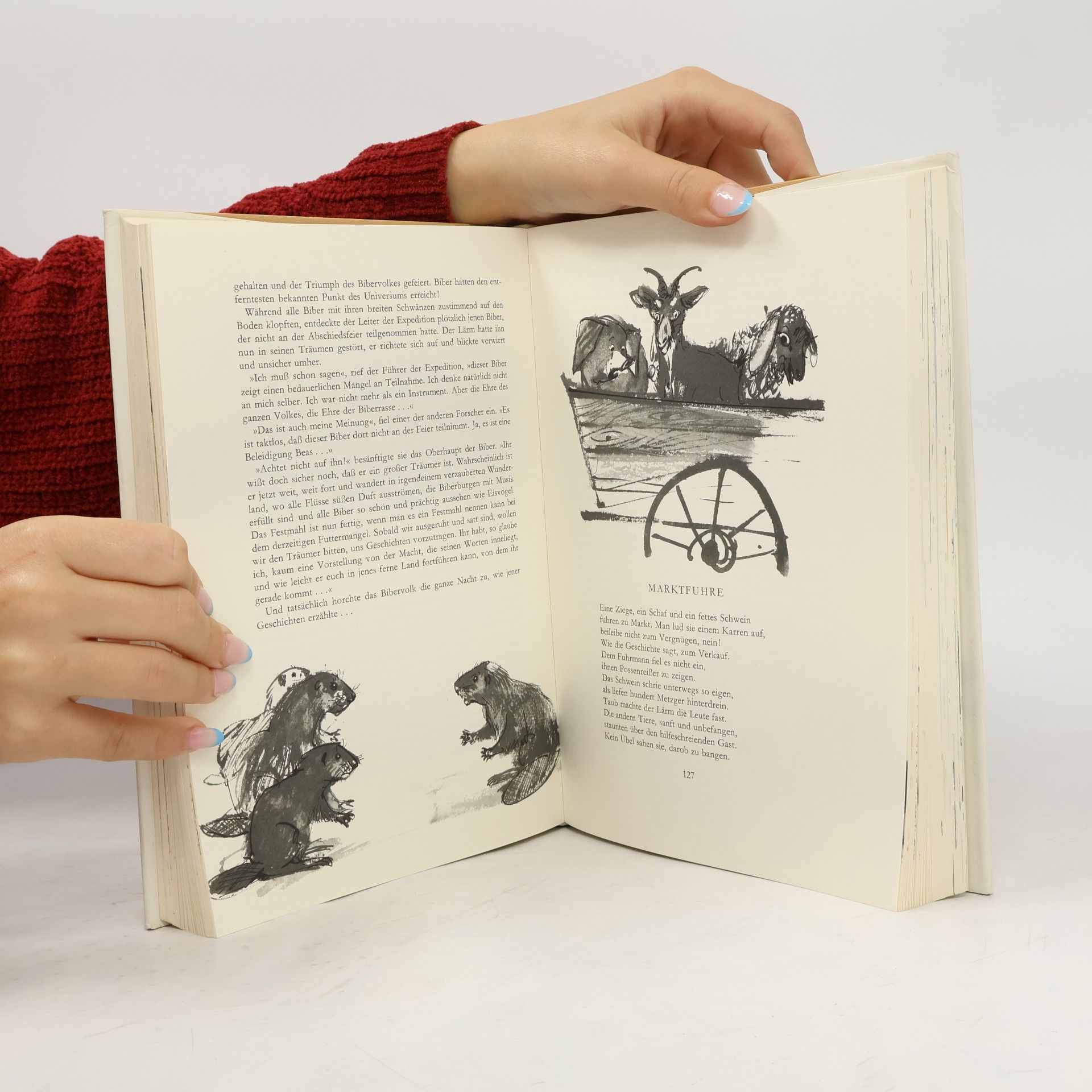 Kolektiv autorů Das große Fabelbuch