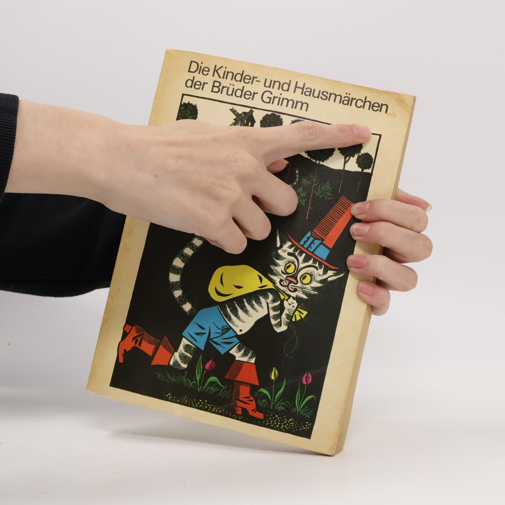Autorenkollektiv Die Kinder- und Hausmärchen der Brüder Grimm
