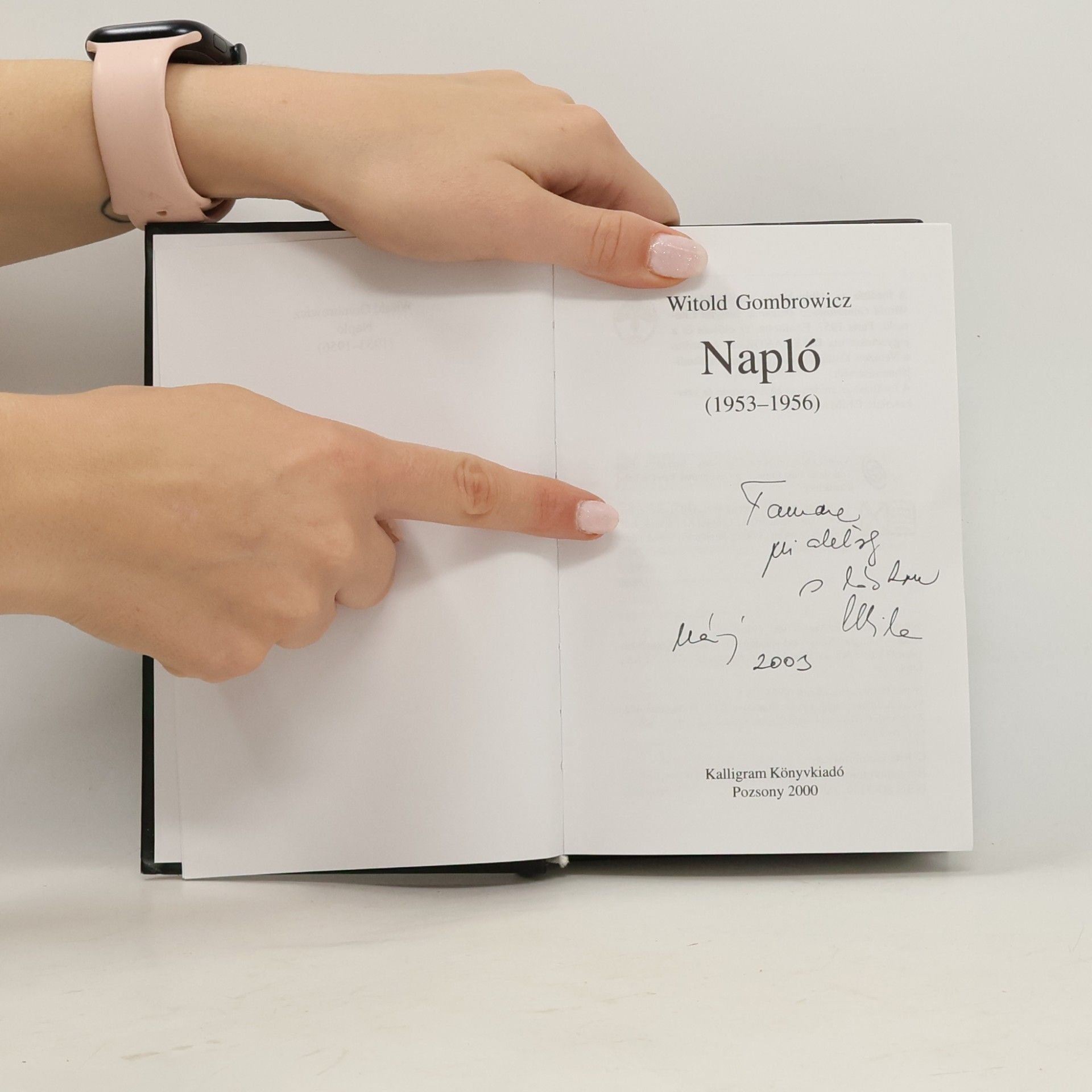 Witold Gombrowicz Napló