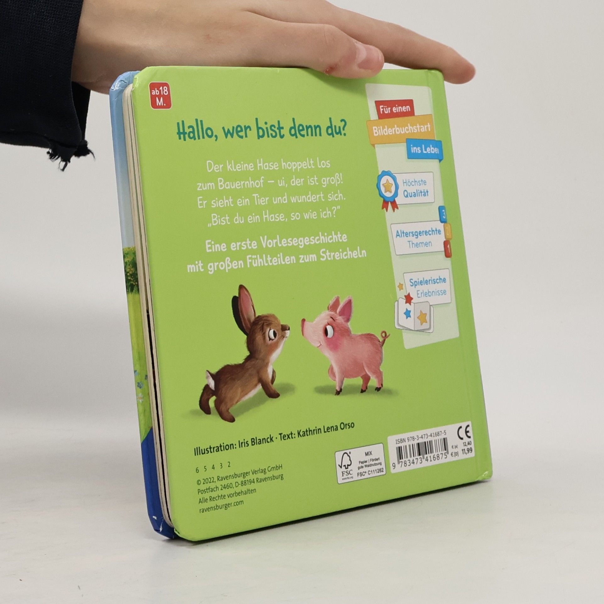 Kathrin-Lena Orso Mein erstes Vorlese-Fühlbuch: Bist du ein Hase?