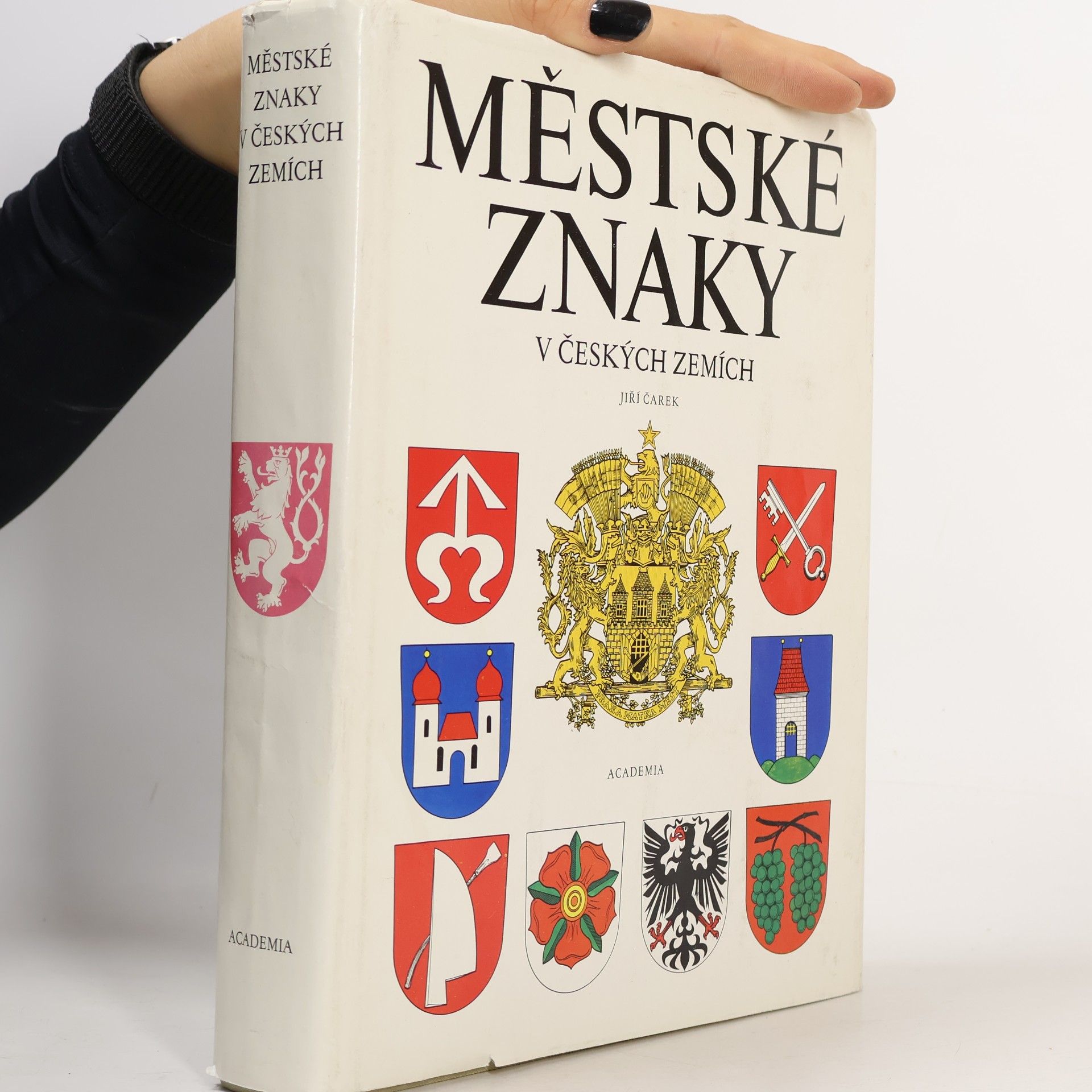Jiří Čarek Městské znaky v českých zemích