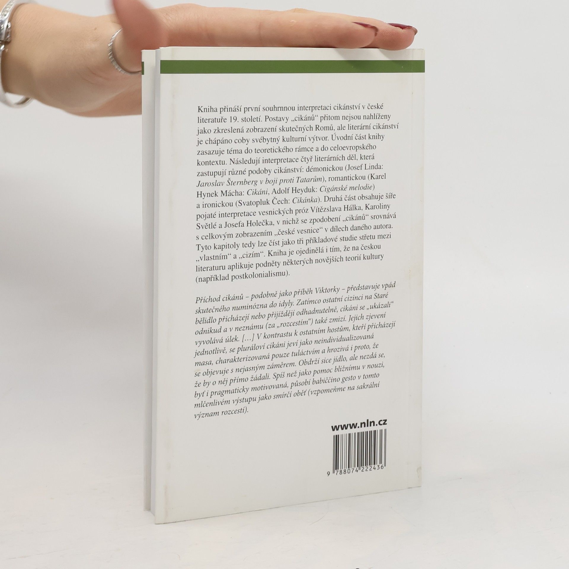 Daniel Soukup "Cikáni" a česká vesnice. Konstrukty cizosti v literatuře 19. století