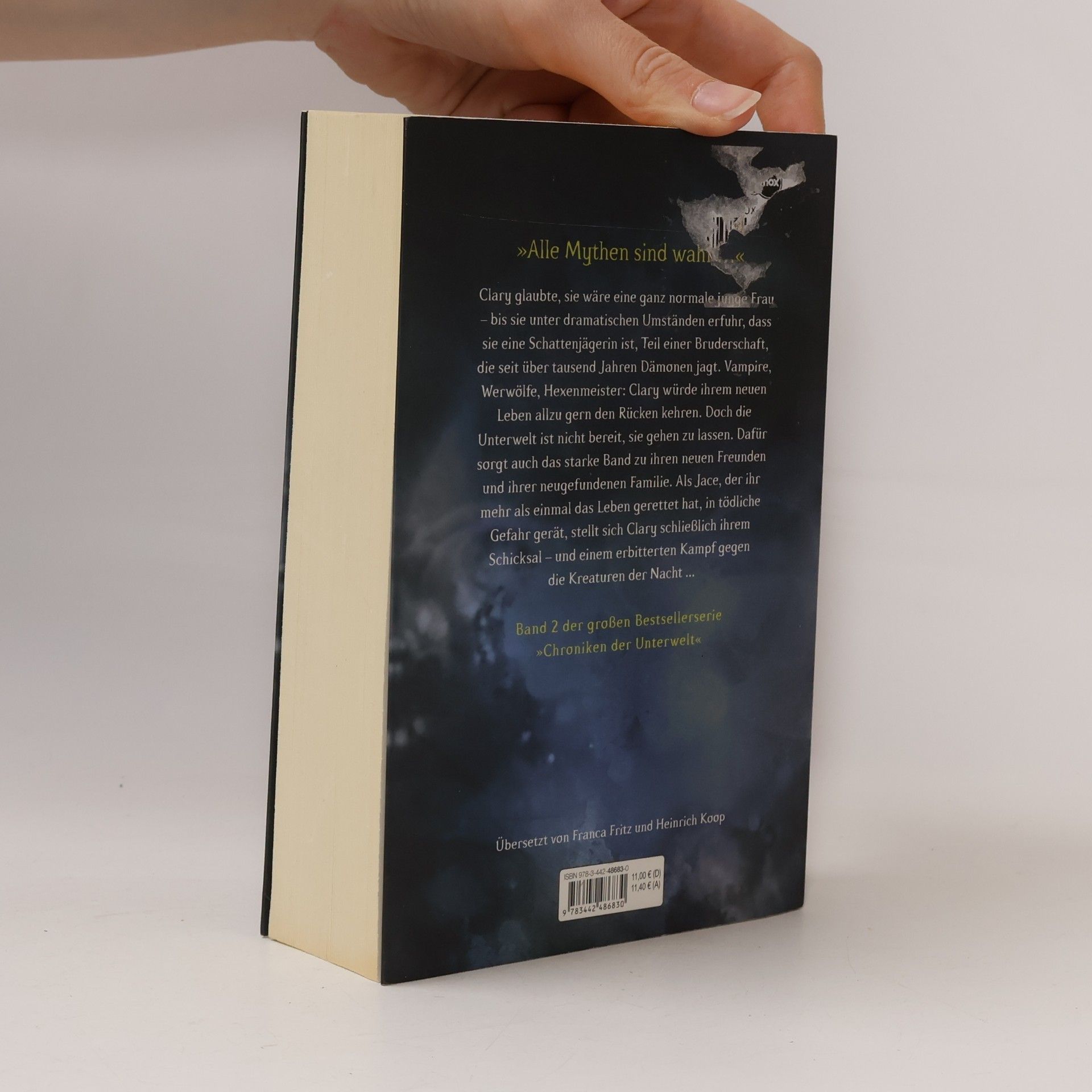 Cassandra Clare City of Ashes